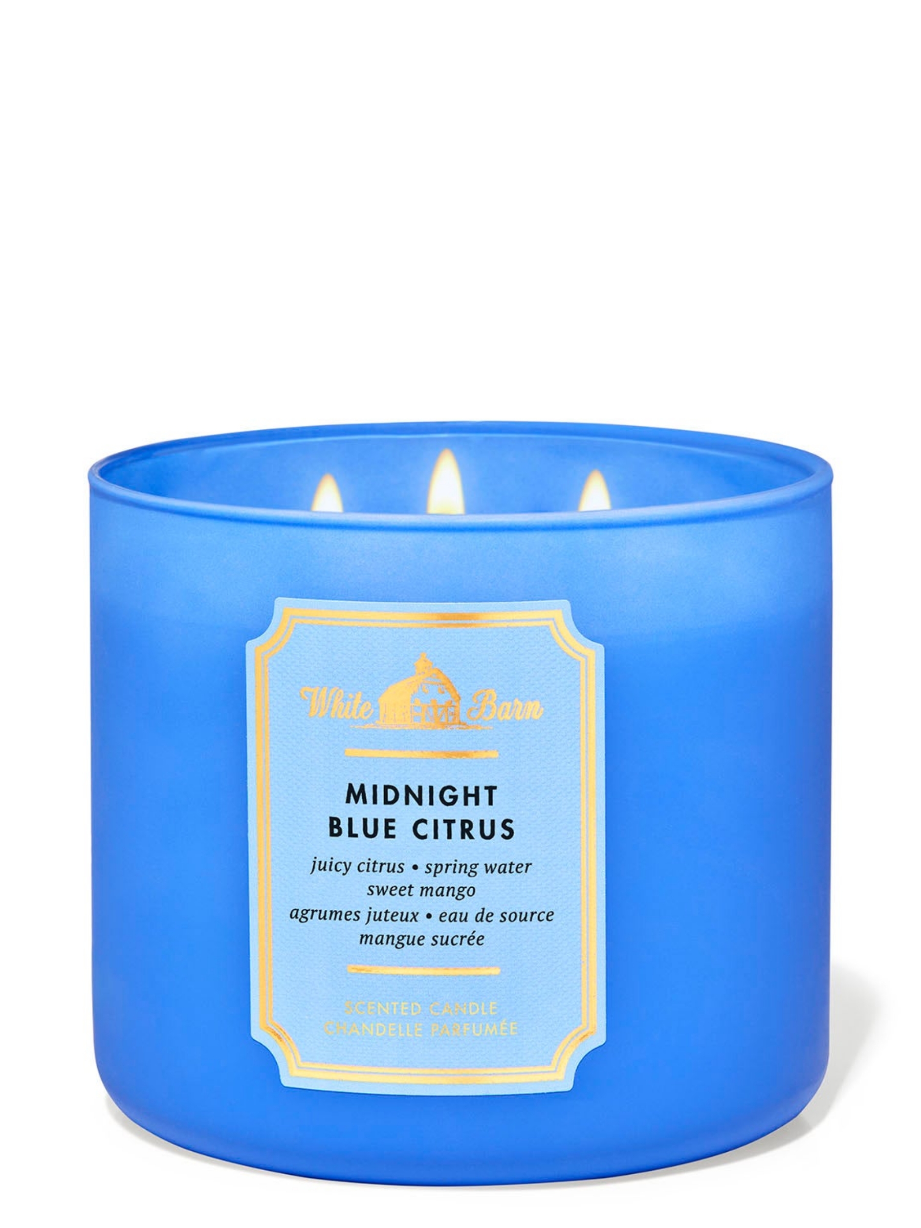 Midnight Blue Citrus Candle 411g 3 Wick - Image 1 of 2