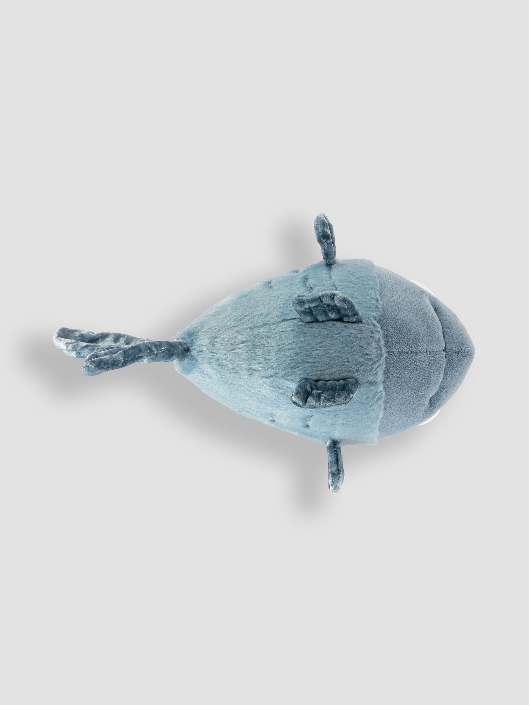 Tiddler 8In - Image 8 of 8