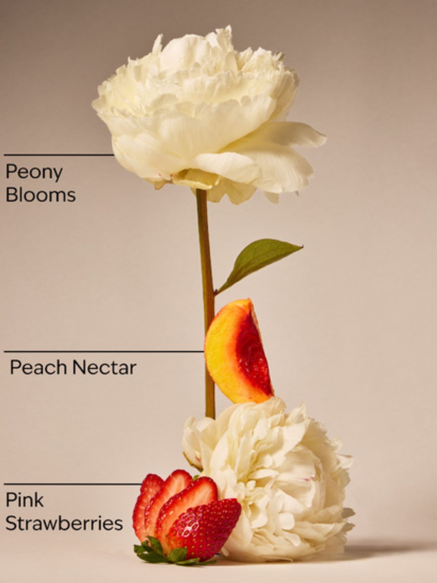 Gingham Gorgeous Creamy Body Scrub 226g - Image 2 of 2