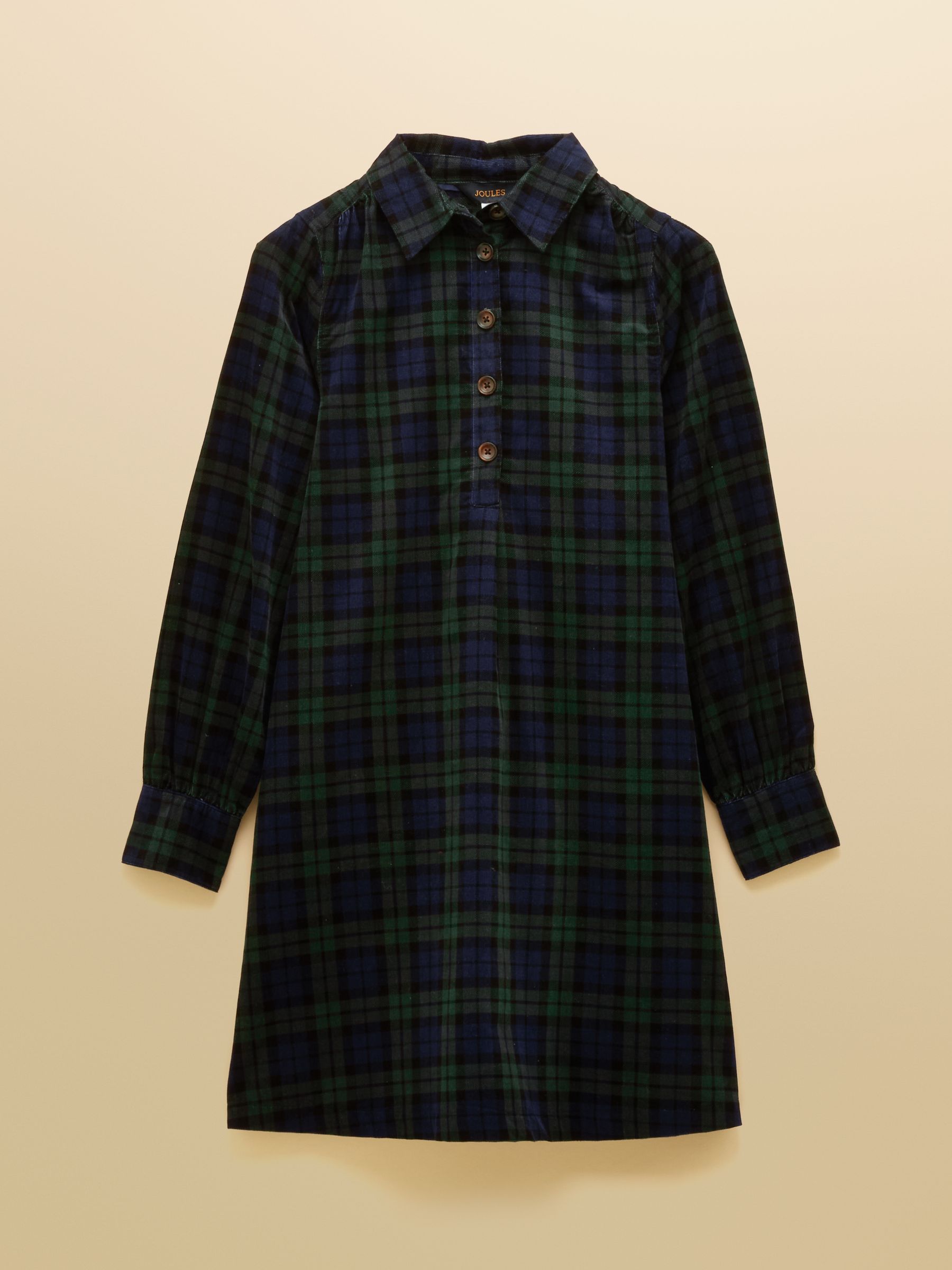 Maple Blue & Green Cord Shirt Dress - Image 8 of 8 Maple Blue & Green Cord Shirt Dress - Image 8 of 8