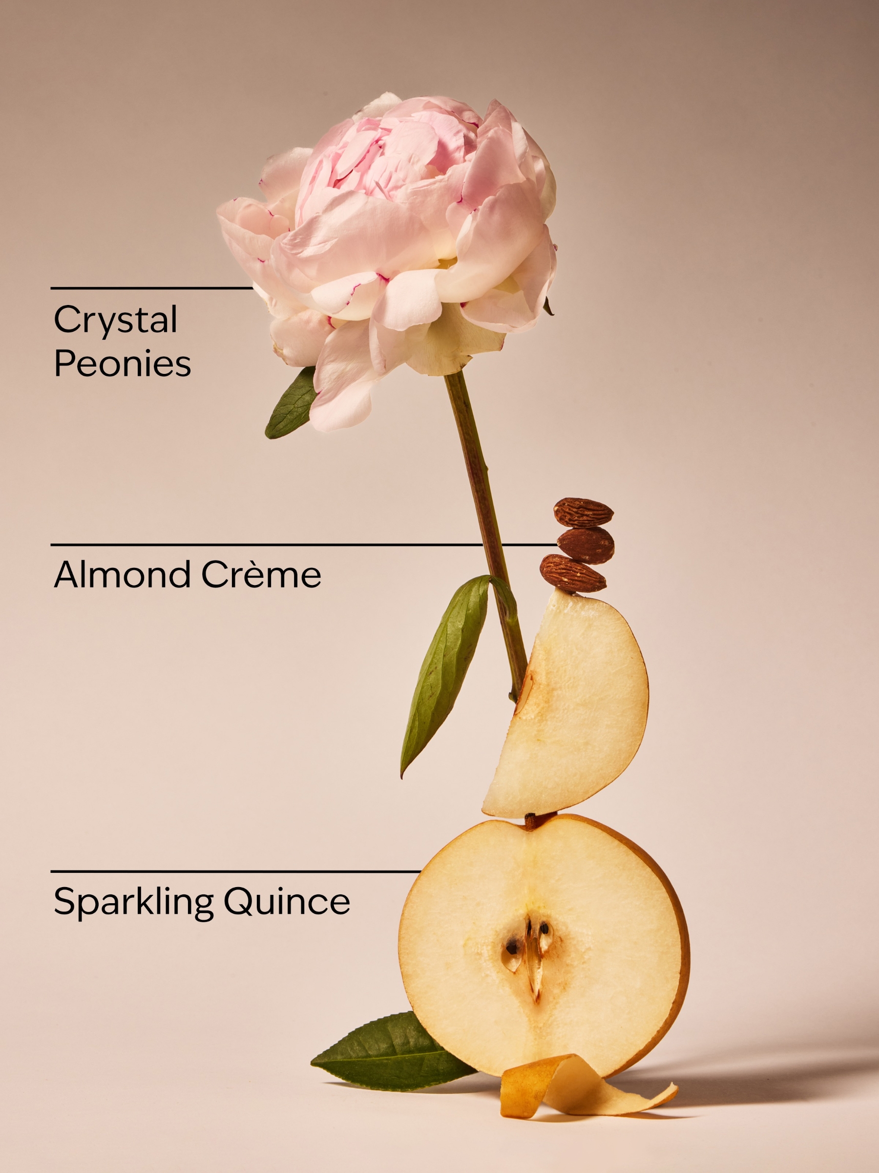 A Thousand Wishes Eau de Parfum 50ml - Image 2 of 2