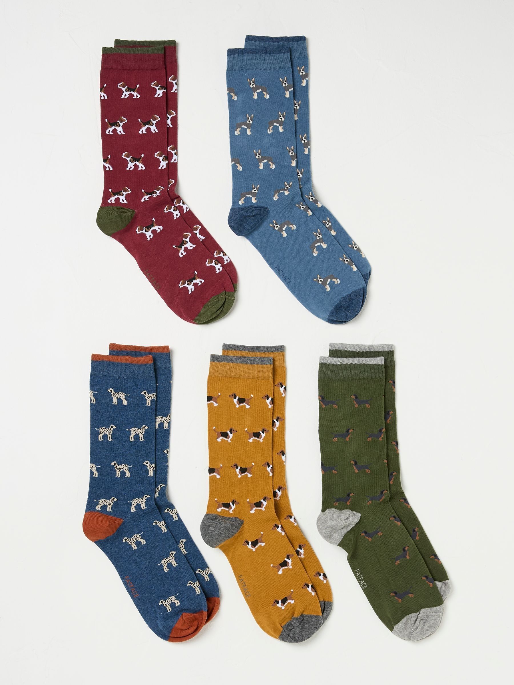 Multi 5 Pairs of Dog Socks - Image 2 of 2