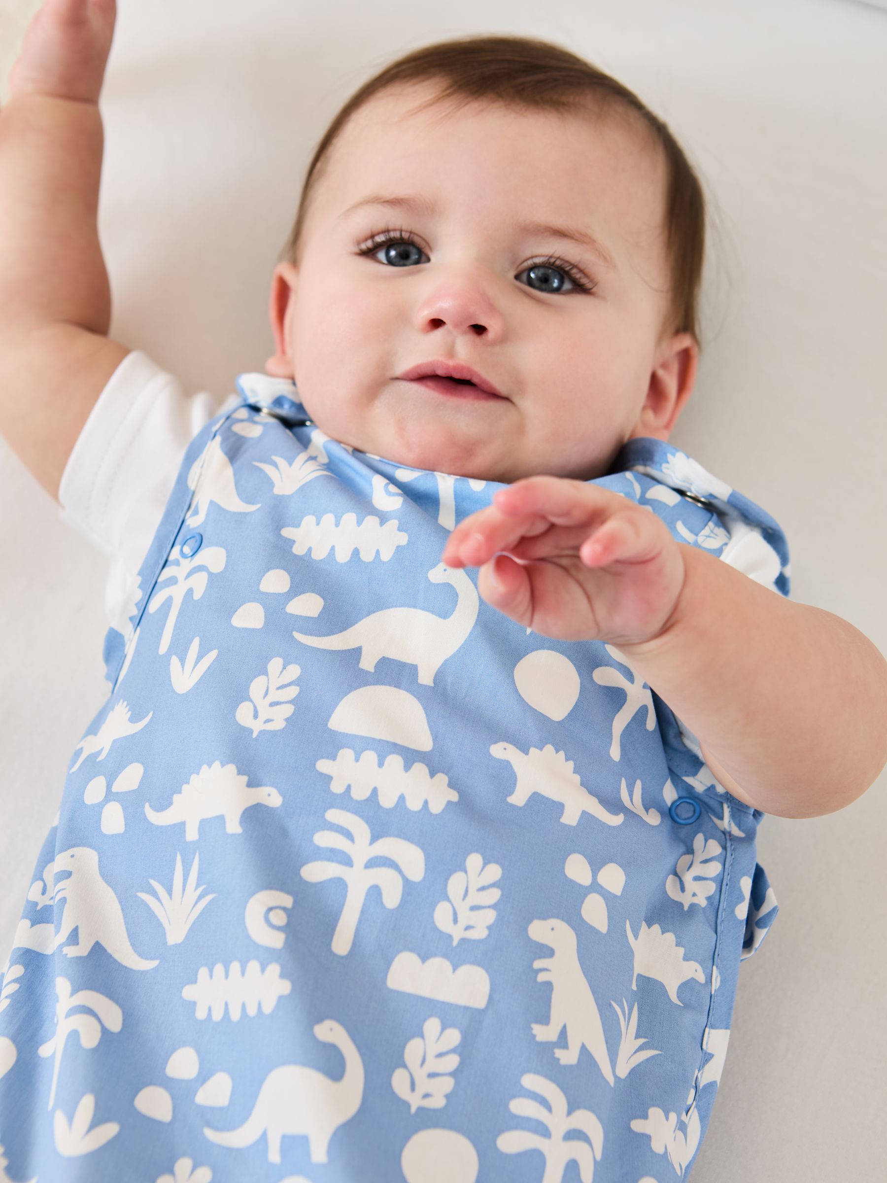 Dinosaur 1 Tog Baby Sheet Sleeping Bag - Image 1 of 4