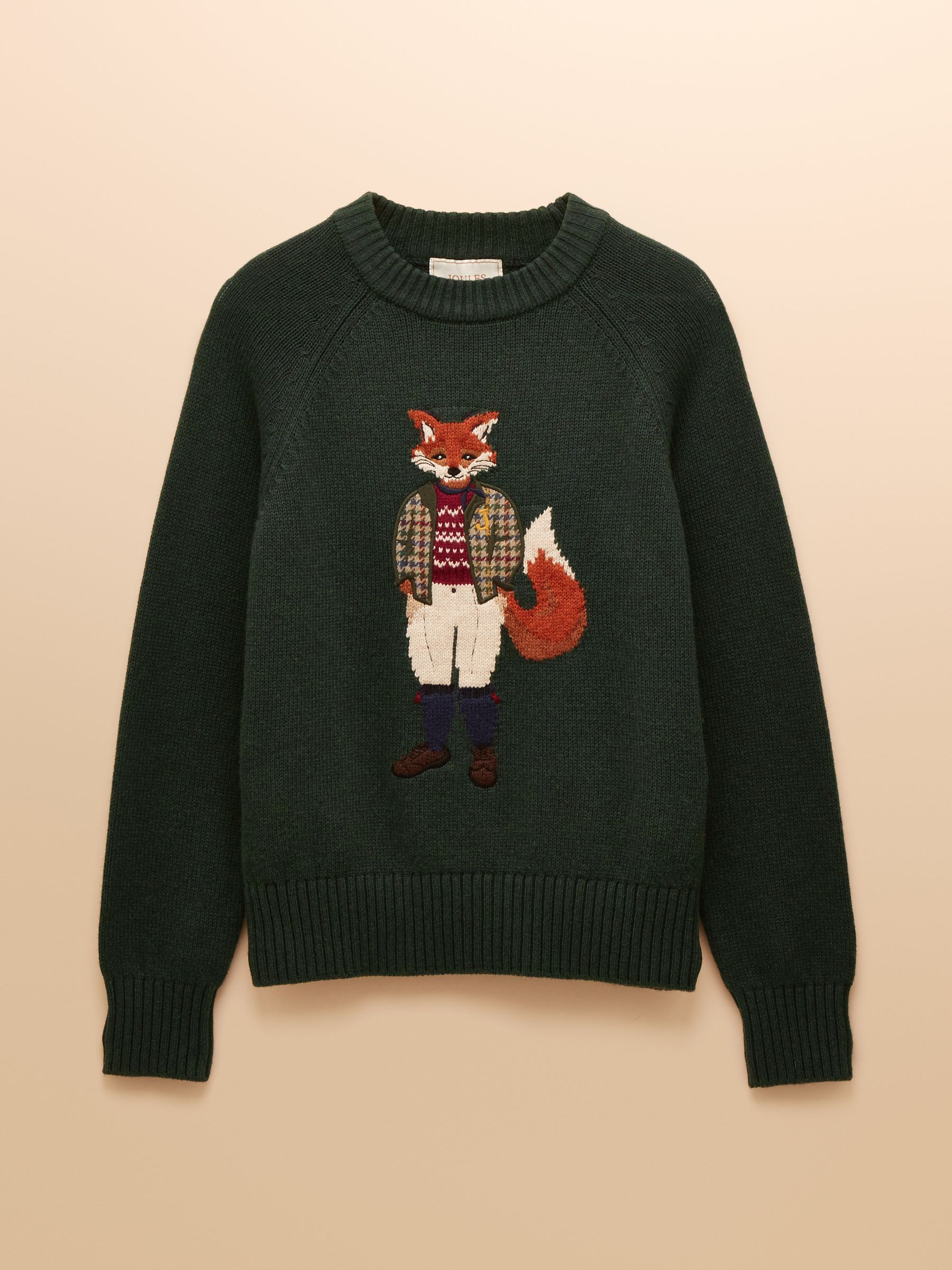 Green Jonty Fox Intarsia Cotton-Rich Crew Neck Jumper - Image 10 of 15