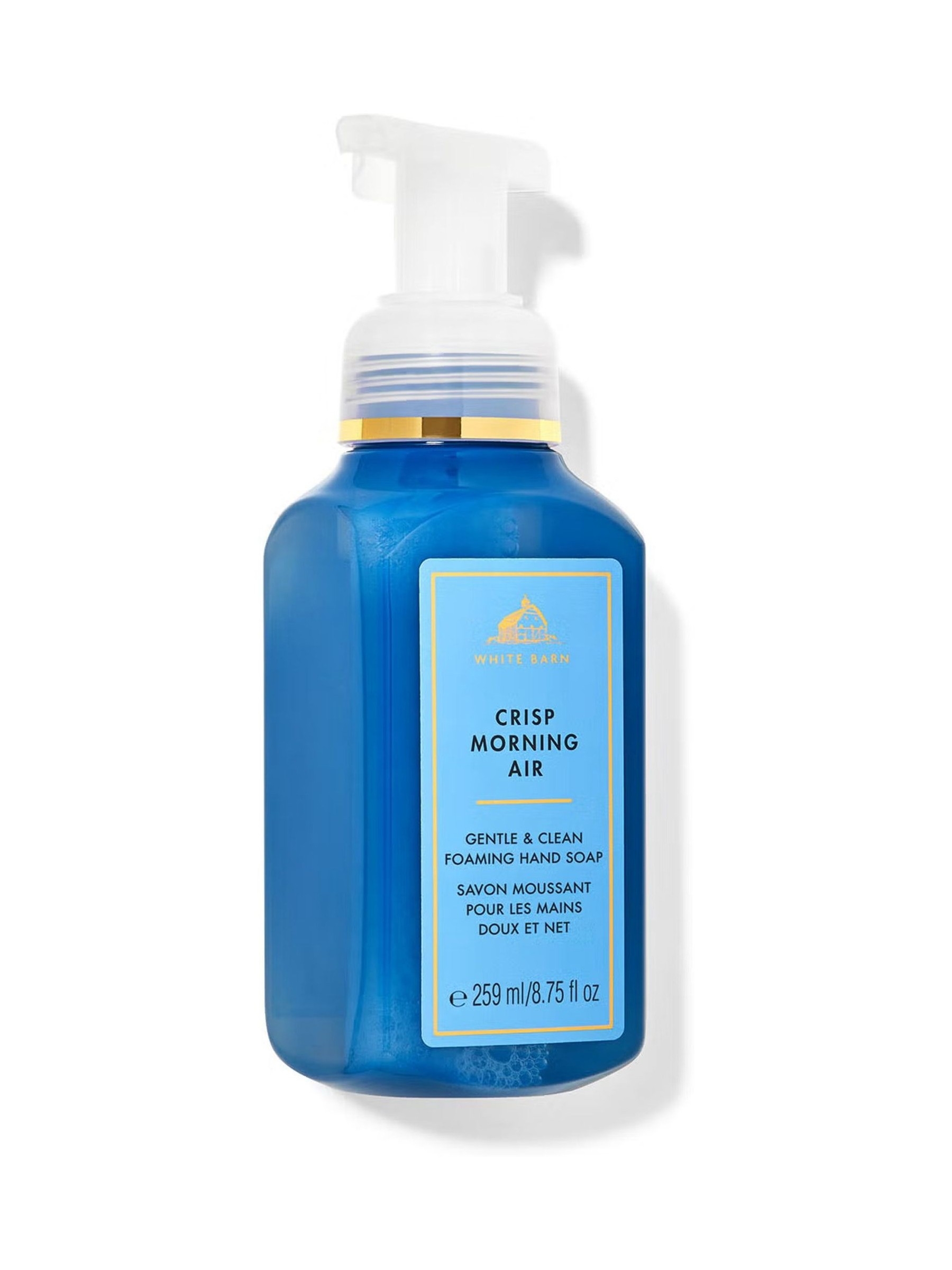 Crisp Morning Air Foam Soap 259 ml - Image 1 of 1