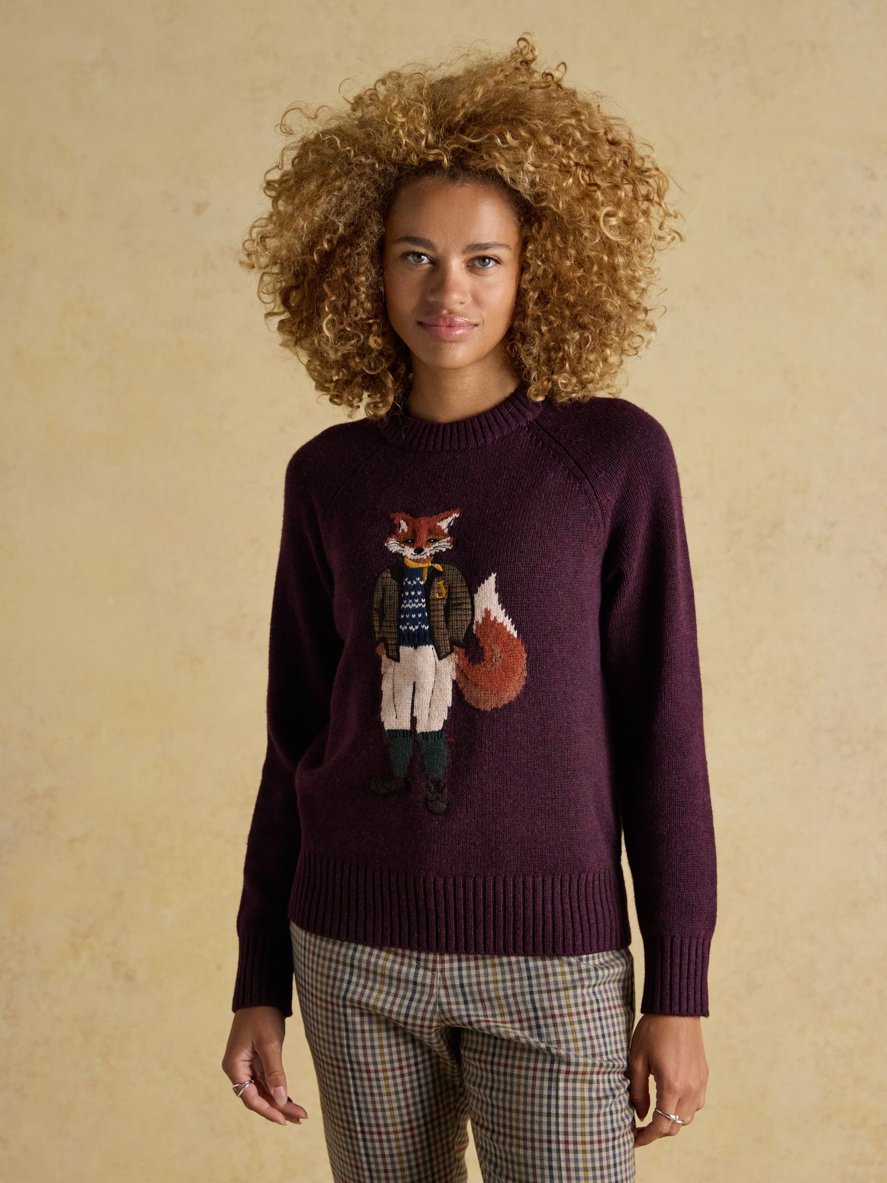Burgundy Jonty Fox Intarsia Cotton-Rich Crew Neck Jumper - Image 4 of 12