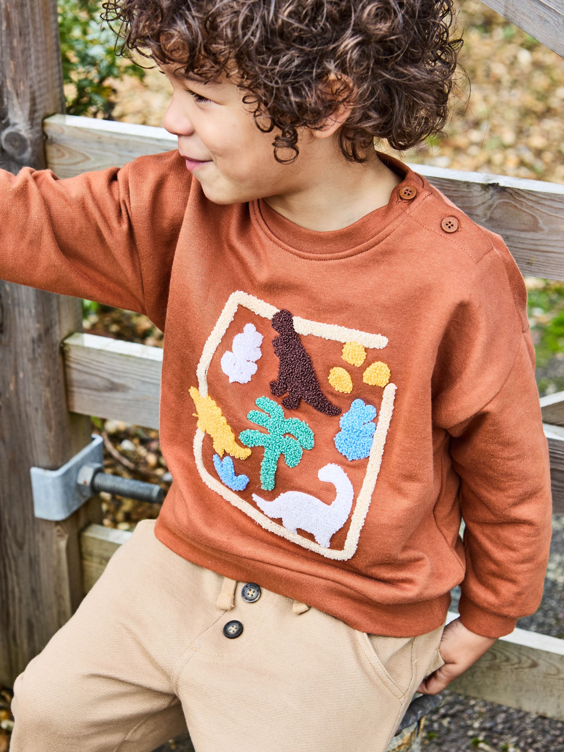 Brown Dino 100% Cotton Appliqué Sweatshirt - Image 3 of 6