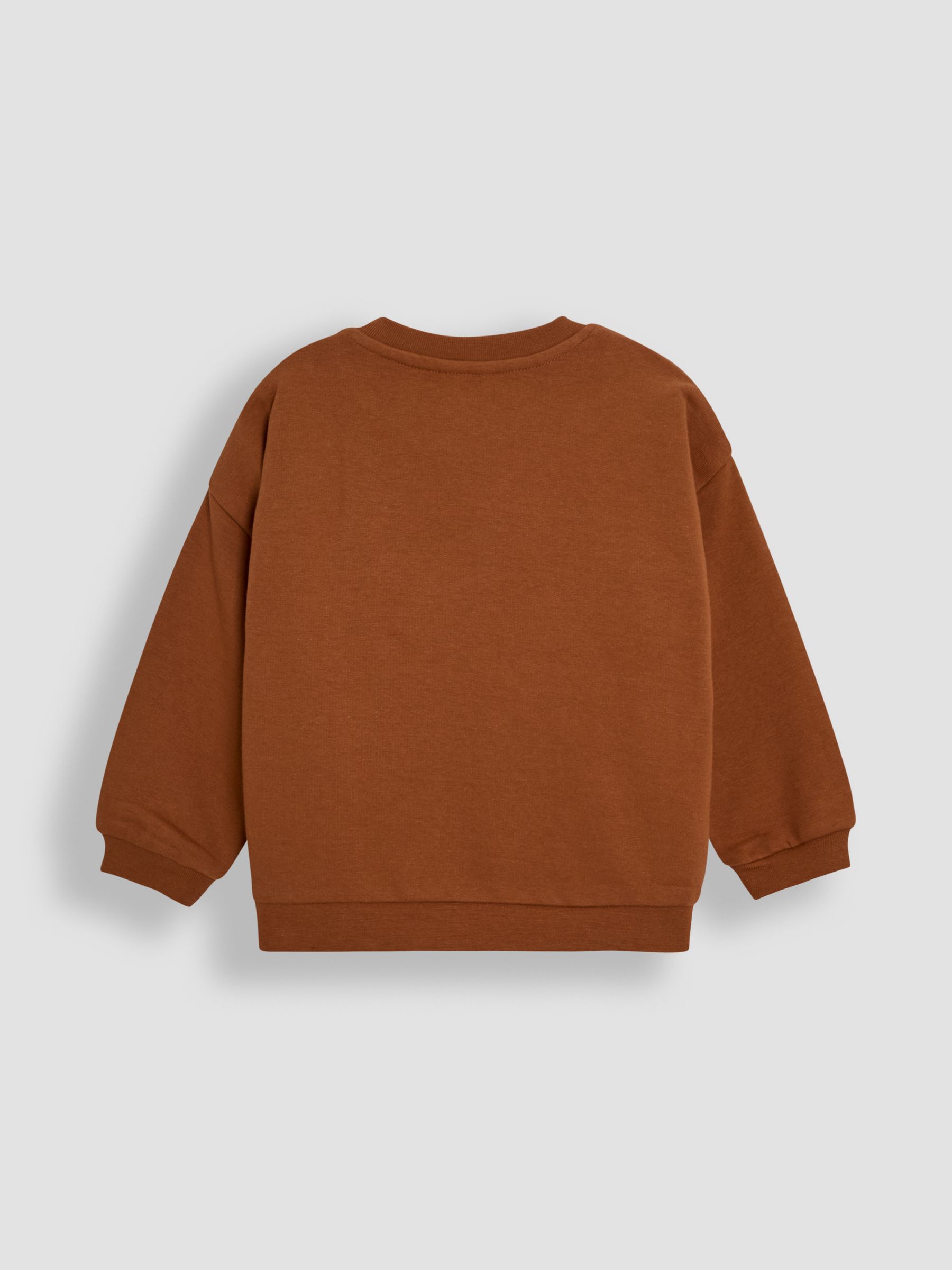Brown Dino 100% Cotton Appliqué Sweatshirt - Image 5 of 6