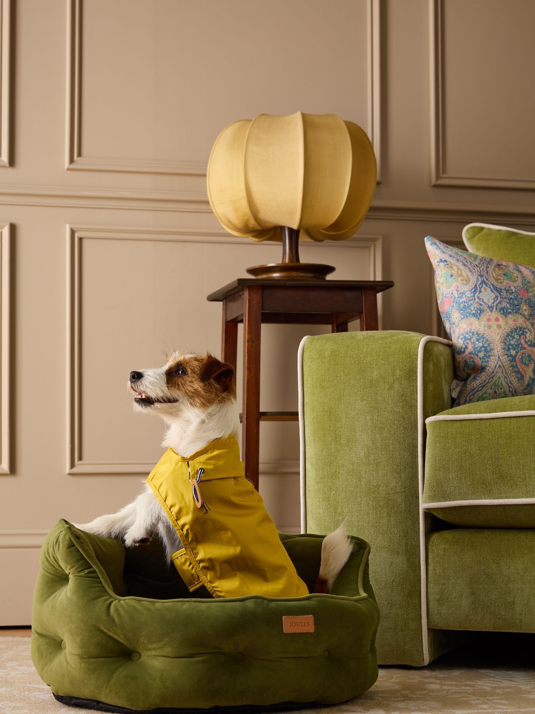 Gold Water-Resistant Dog Jacket - Image 1 of 16