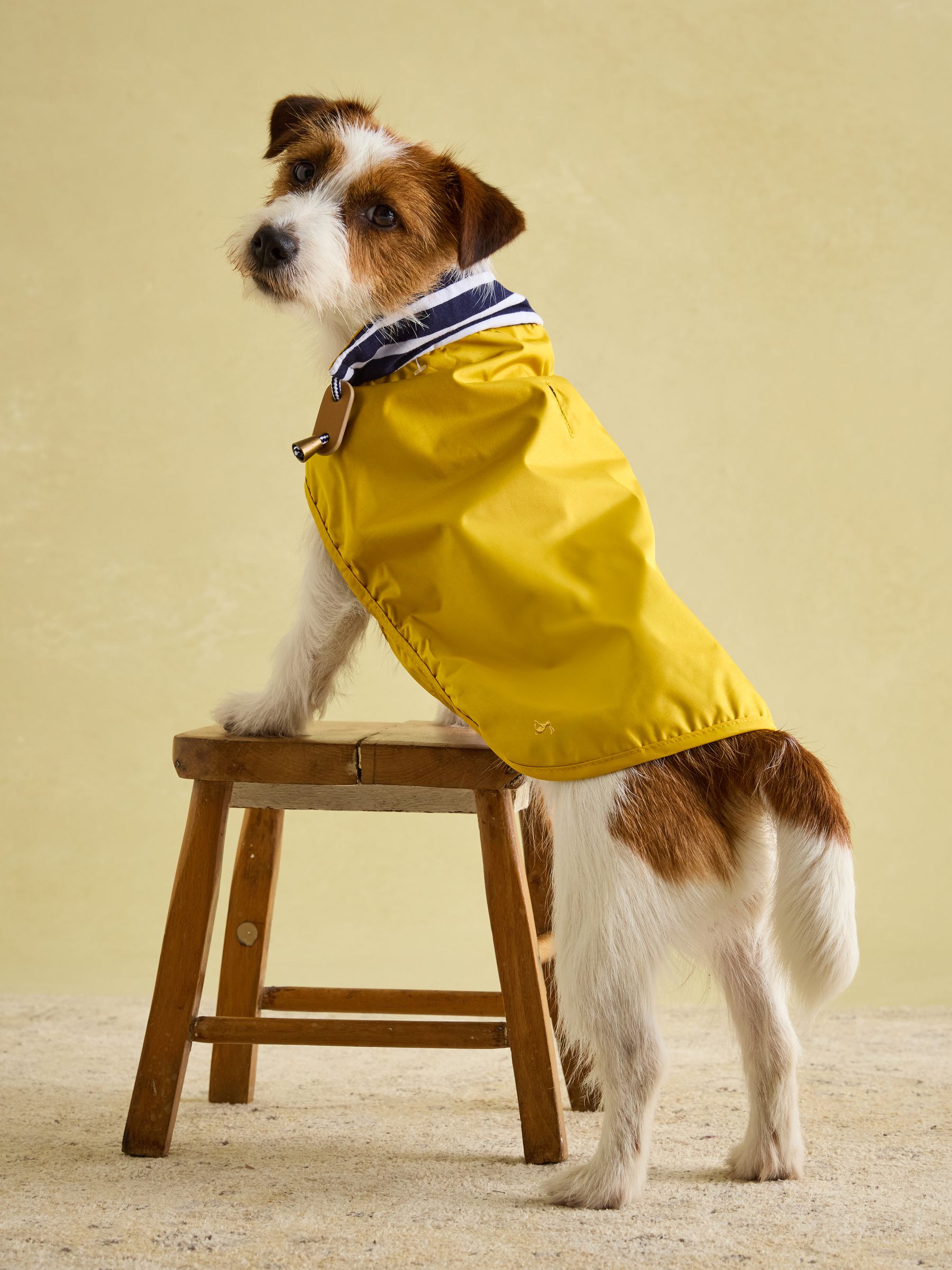 Gold Water-Resistant Dog Jacket - Image 4 of 16