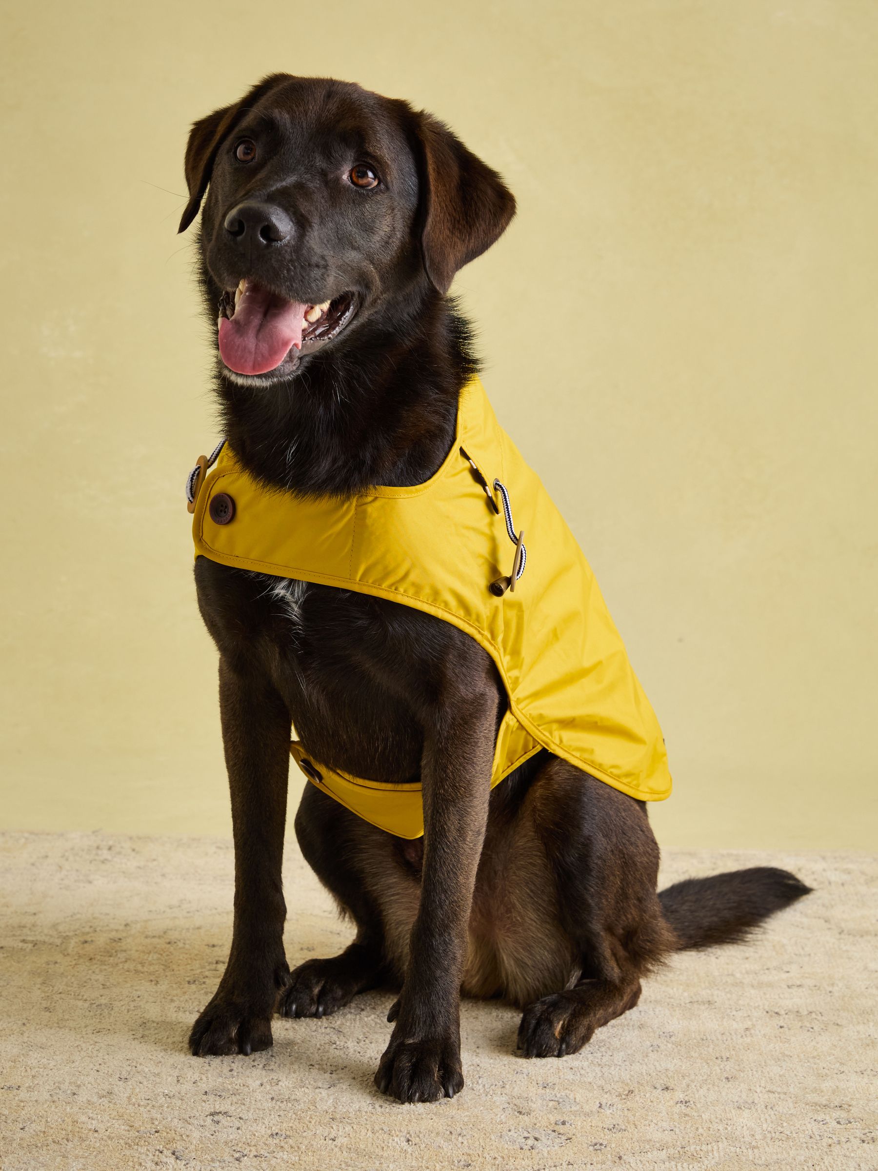 Gold Water-Resistant Dog Jacket - Image 5 of 16