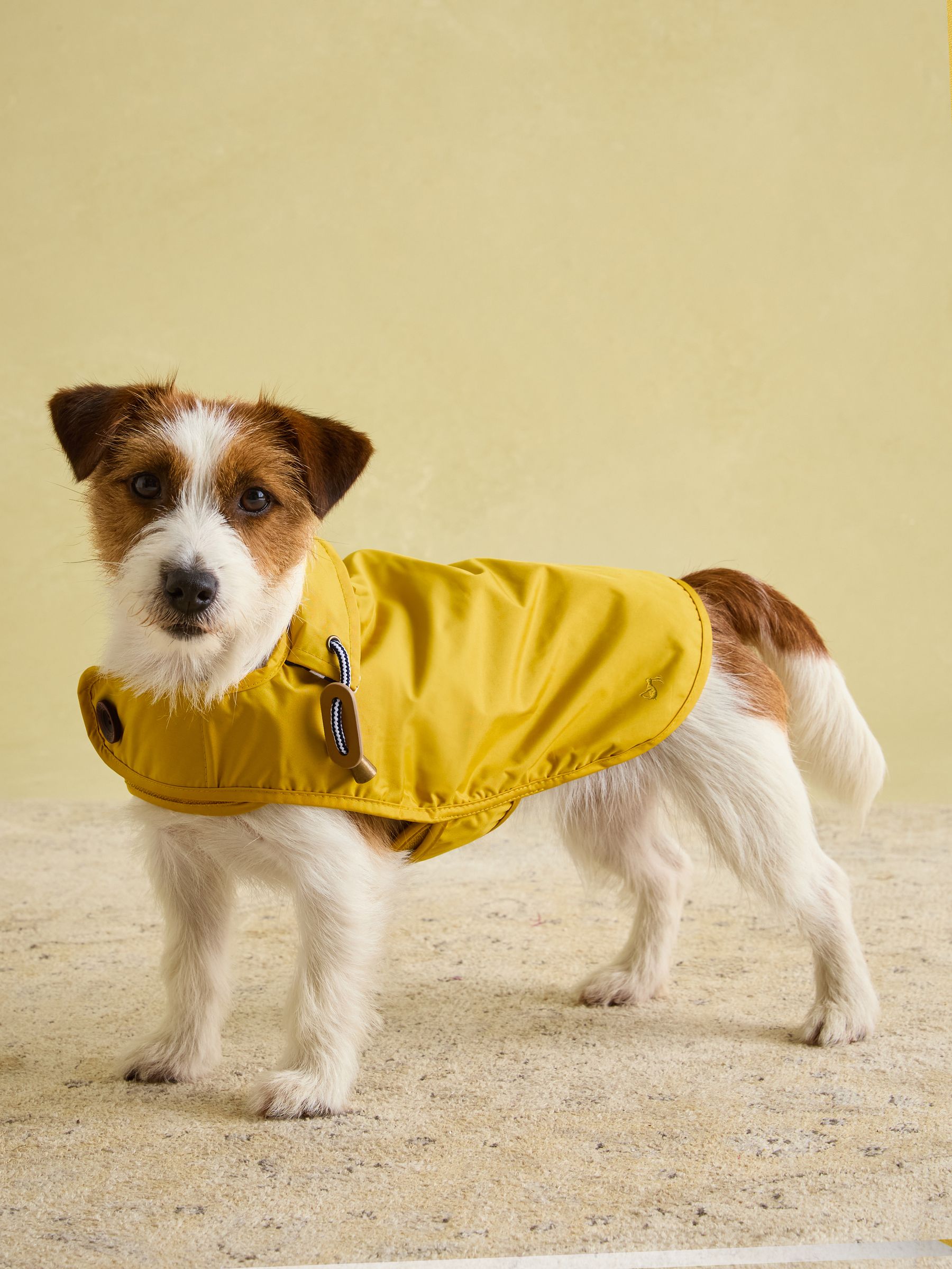 Gold Water-Resistant Dog Jacket - Image 6 of 16
