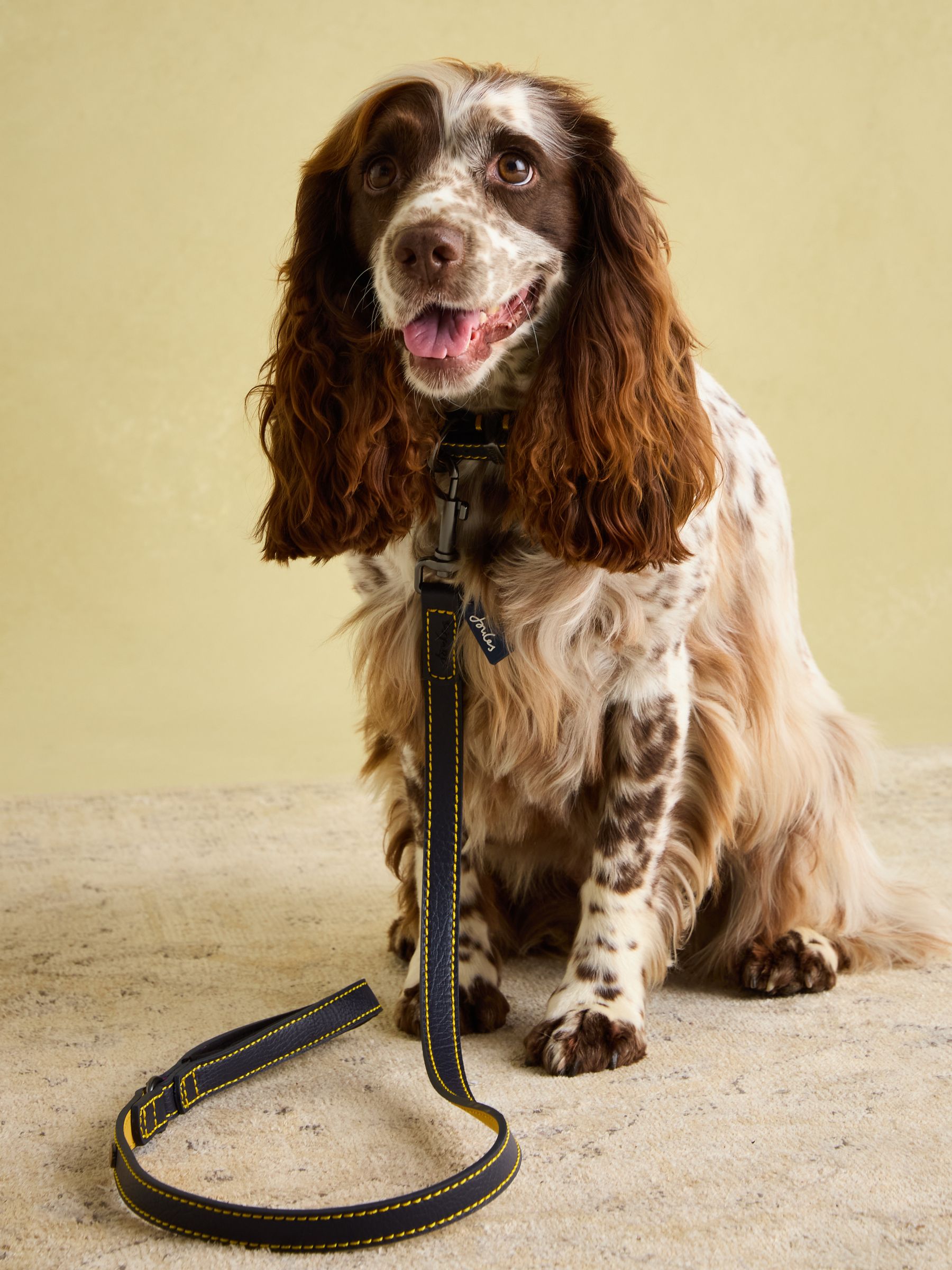 Navy Leather Dog Lead - Image 3 of 5