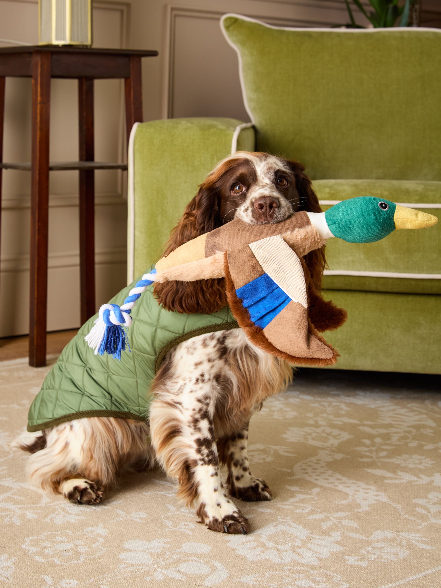 Blue Plush Duck Dog Toy - Image 1 of 8