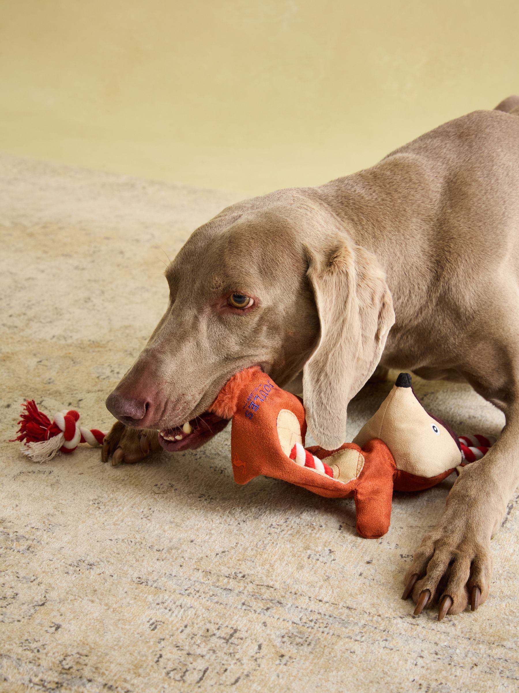 Red Fox Dog Toy - Image 2 of 9