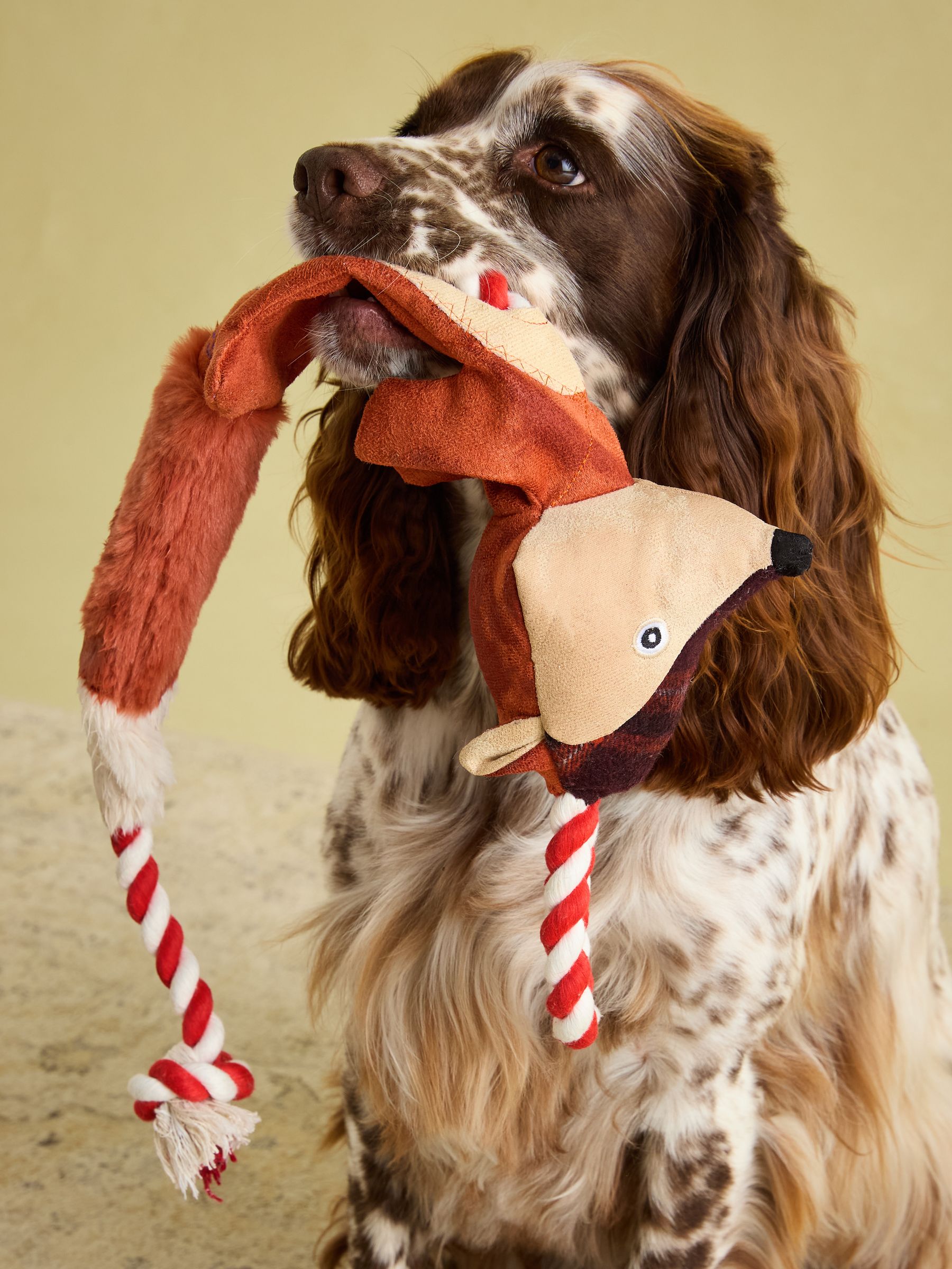 Red Fox Dog Toy - Image 3 of 9