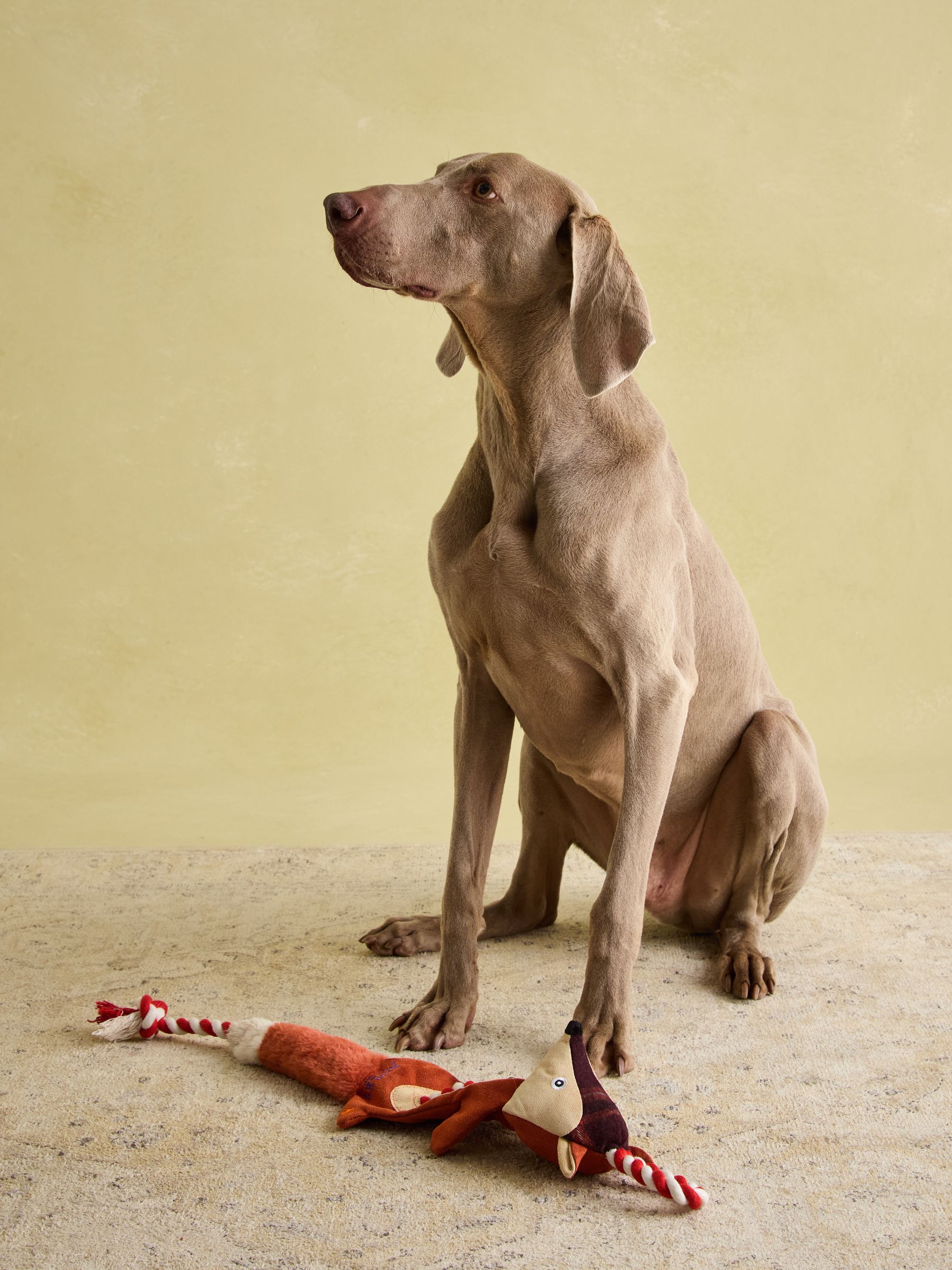 Red Fox Dog Toy - Image 4 of 9