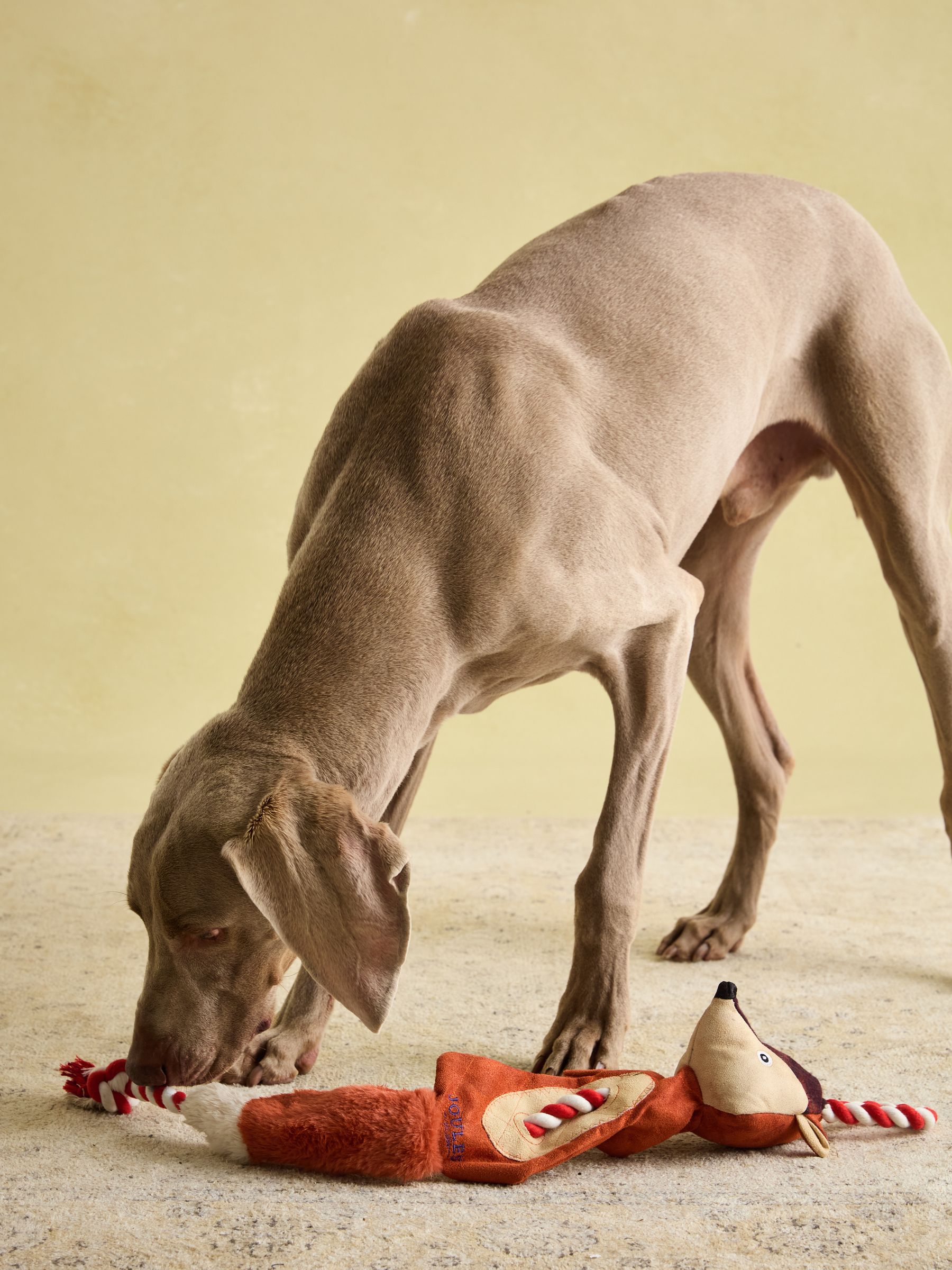 Red Fox Dog Toy - Image 5 of 9