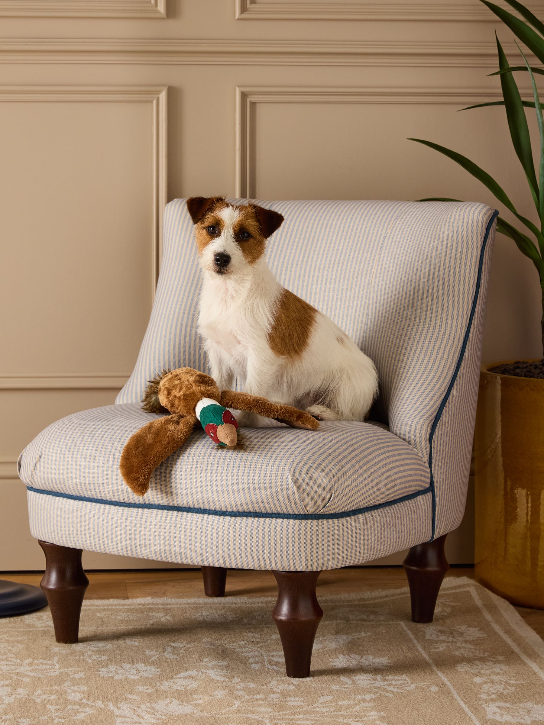 Joules Brown Pheasant Dog Toy - Image 1 of 10