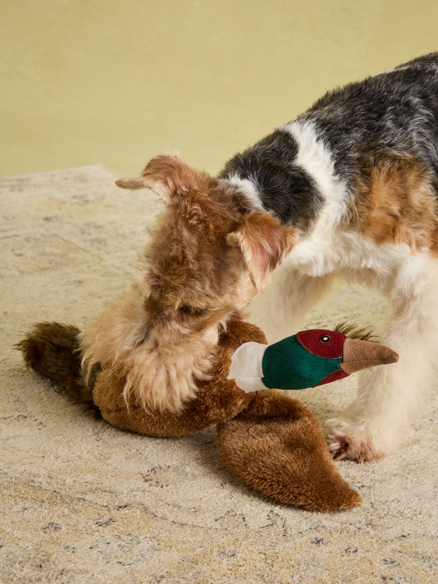 Joules Brown Pheasant Dog Toy - Image 5 of 10