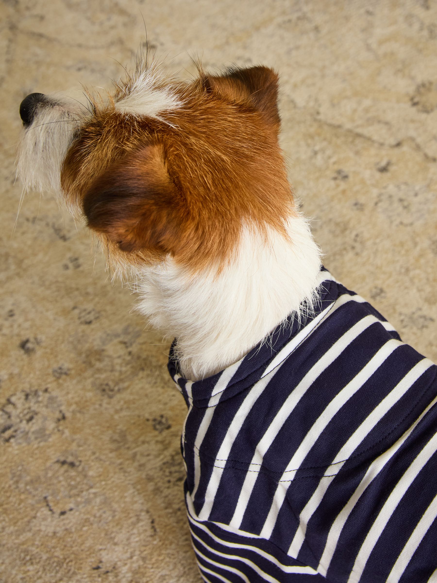 Blue Harbour Dog Top - Image 4 of 6