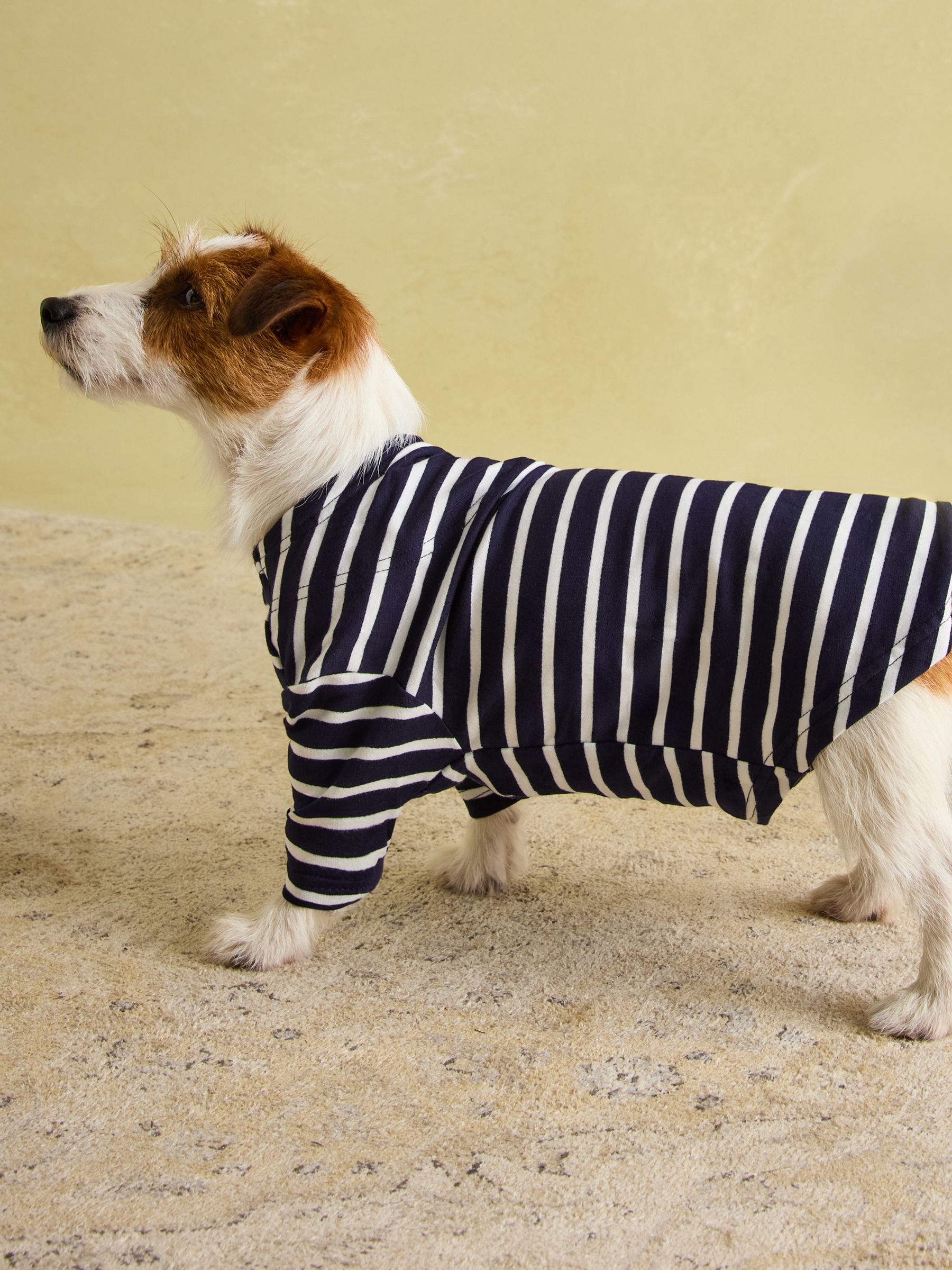 Blue Harbour Dog Top - Image 6 of 6