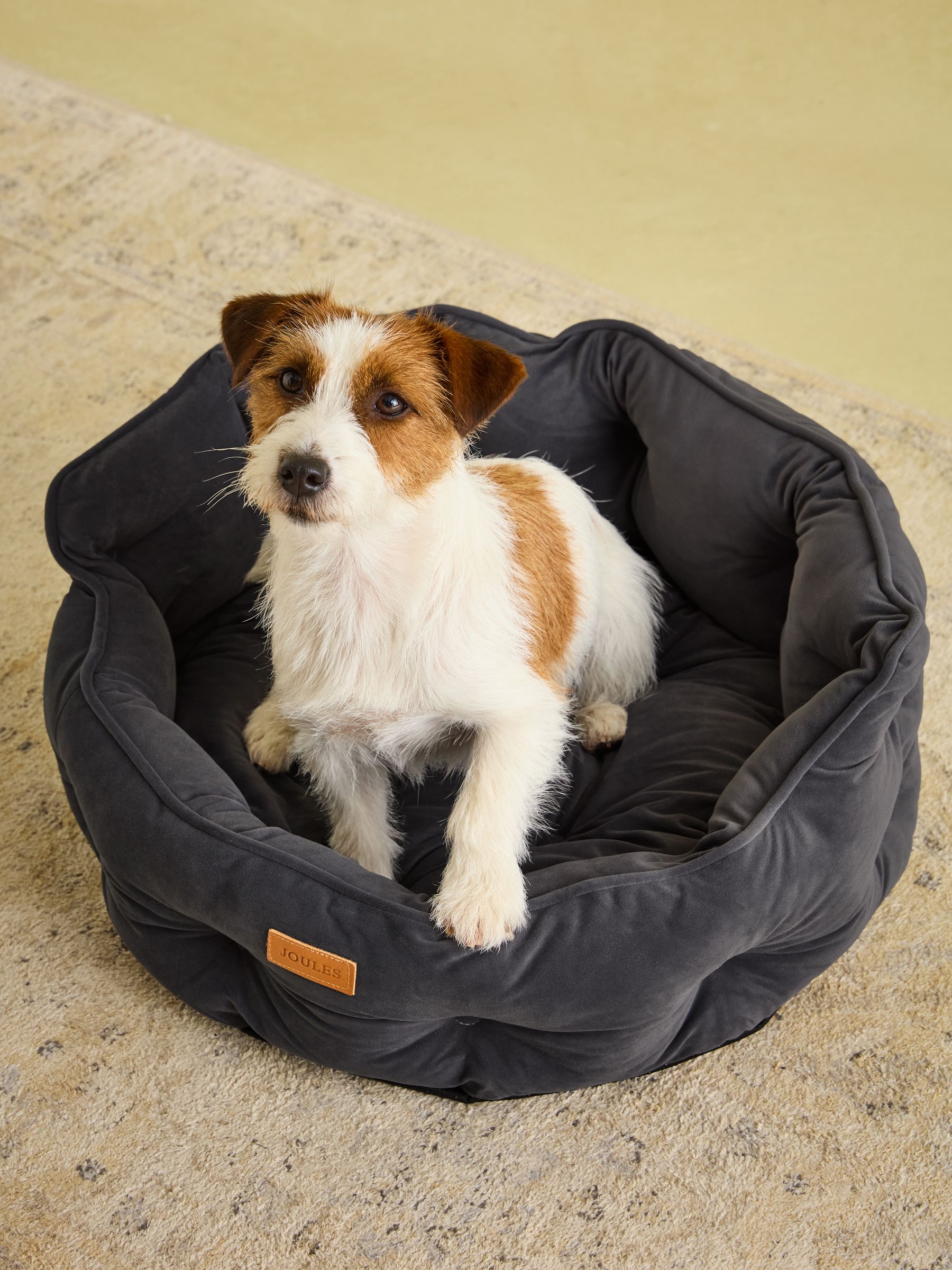 Chesterfield Grey Pet Bed Joules