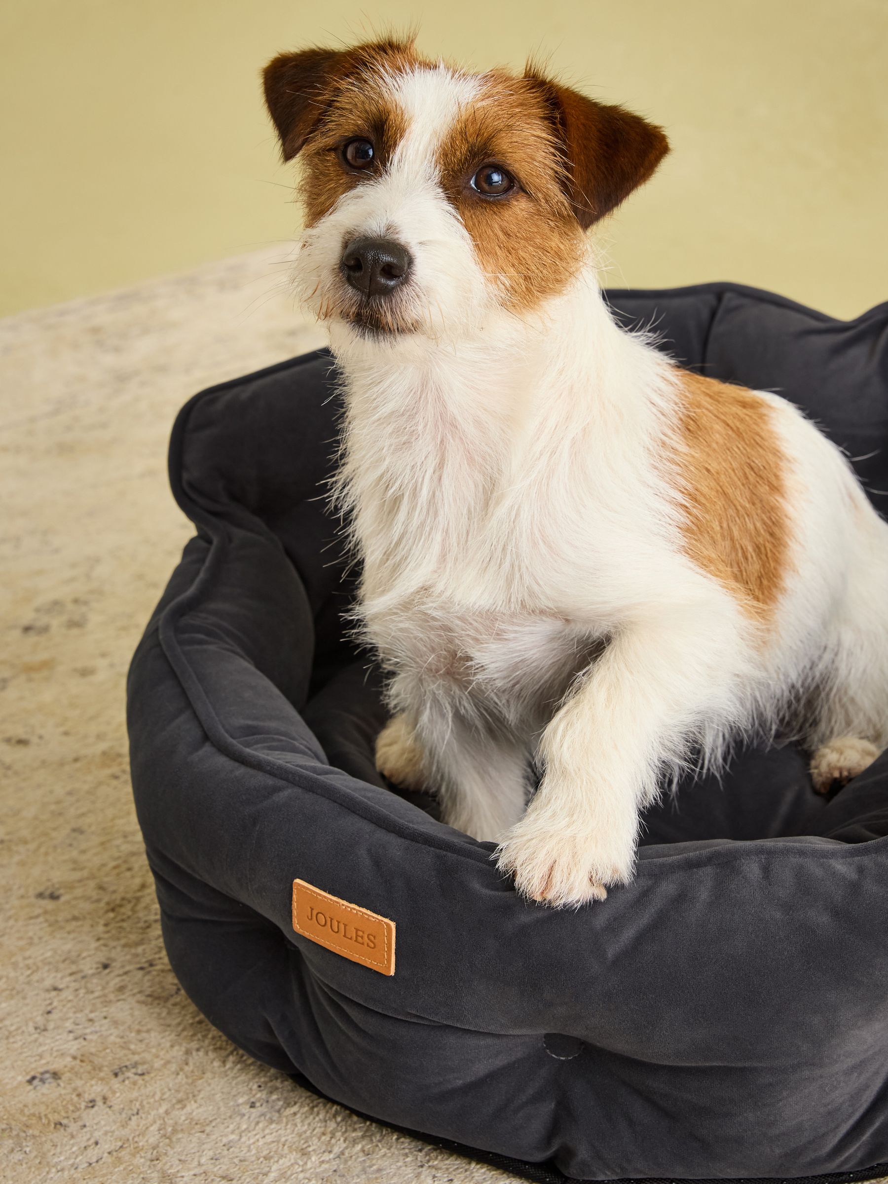 Chesterfield Grey Pet Bed - Image 2 of 9