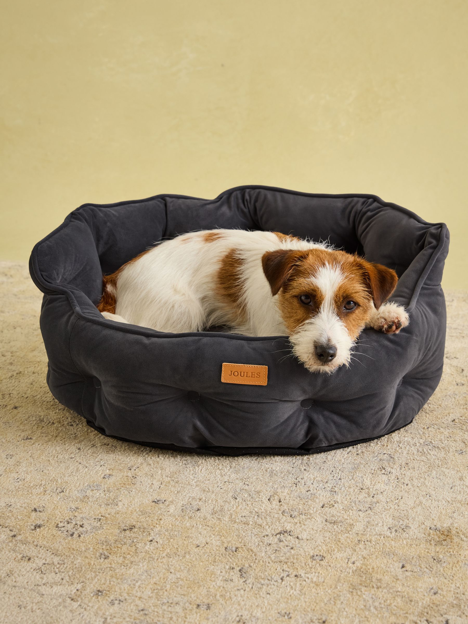 Chesterfield Grey Pet Bed - Image 3 of 9
