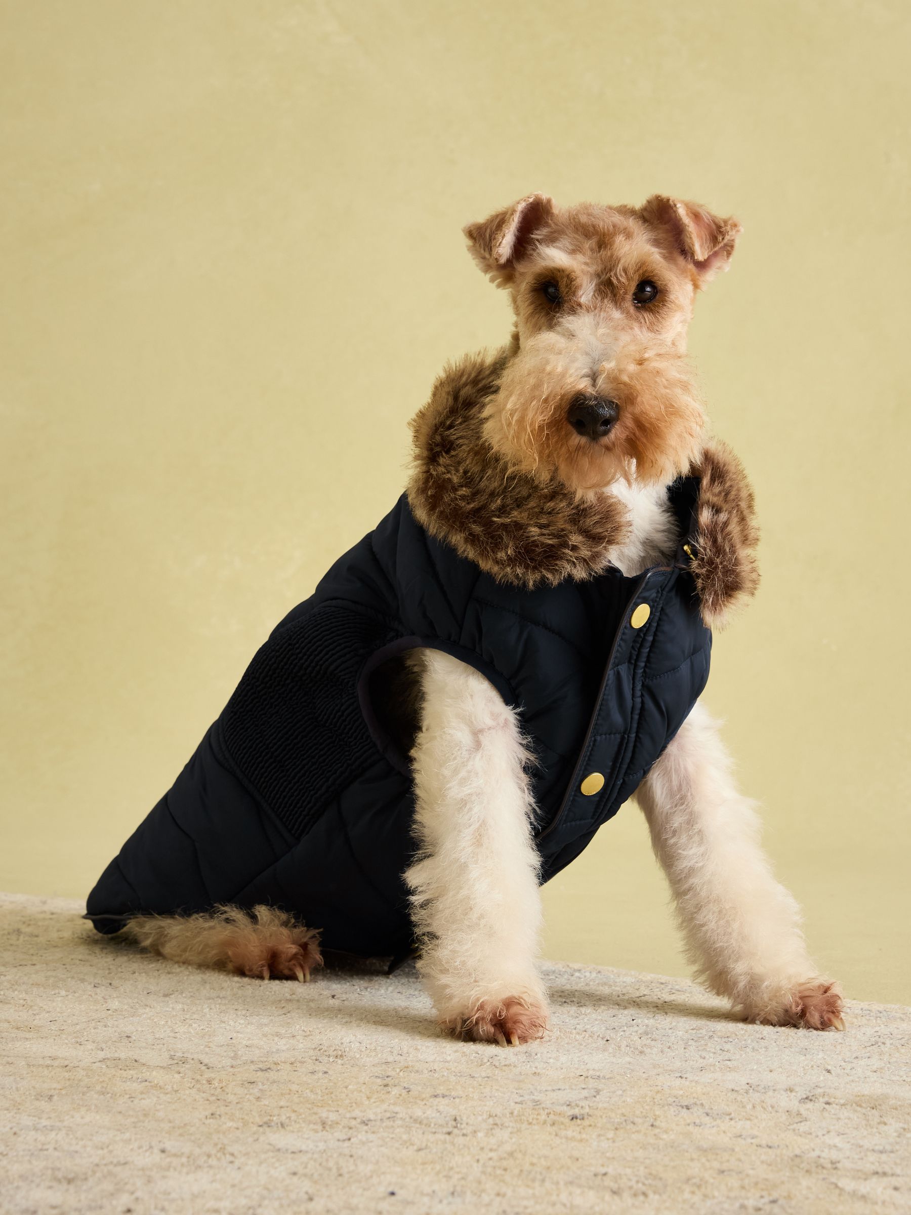 Cherington Blue Dog Coat - Image 10 of 17