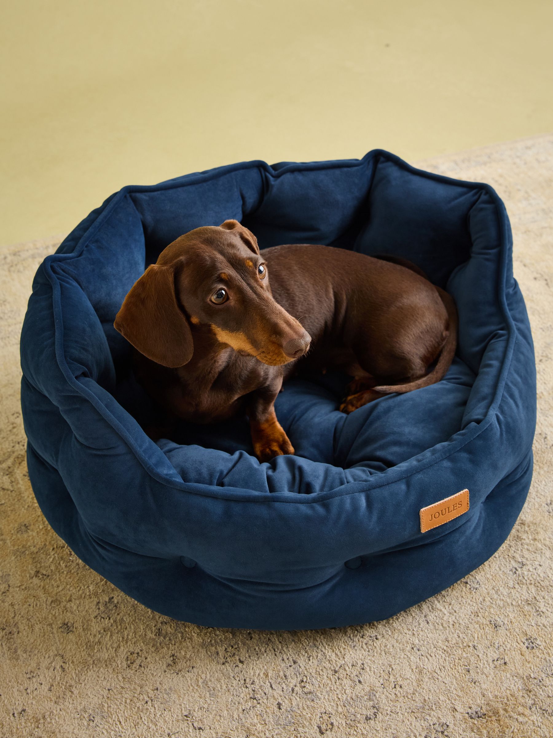 Chesterfield Navy Dog Bed - Image 1 of 11