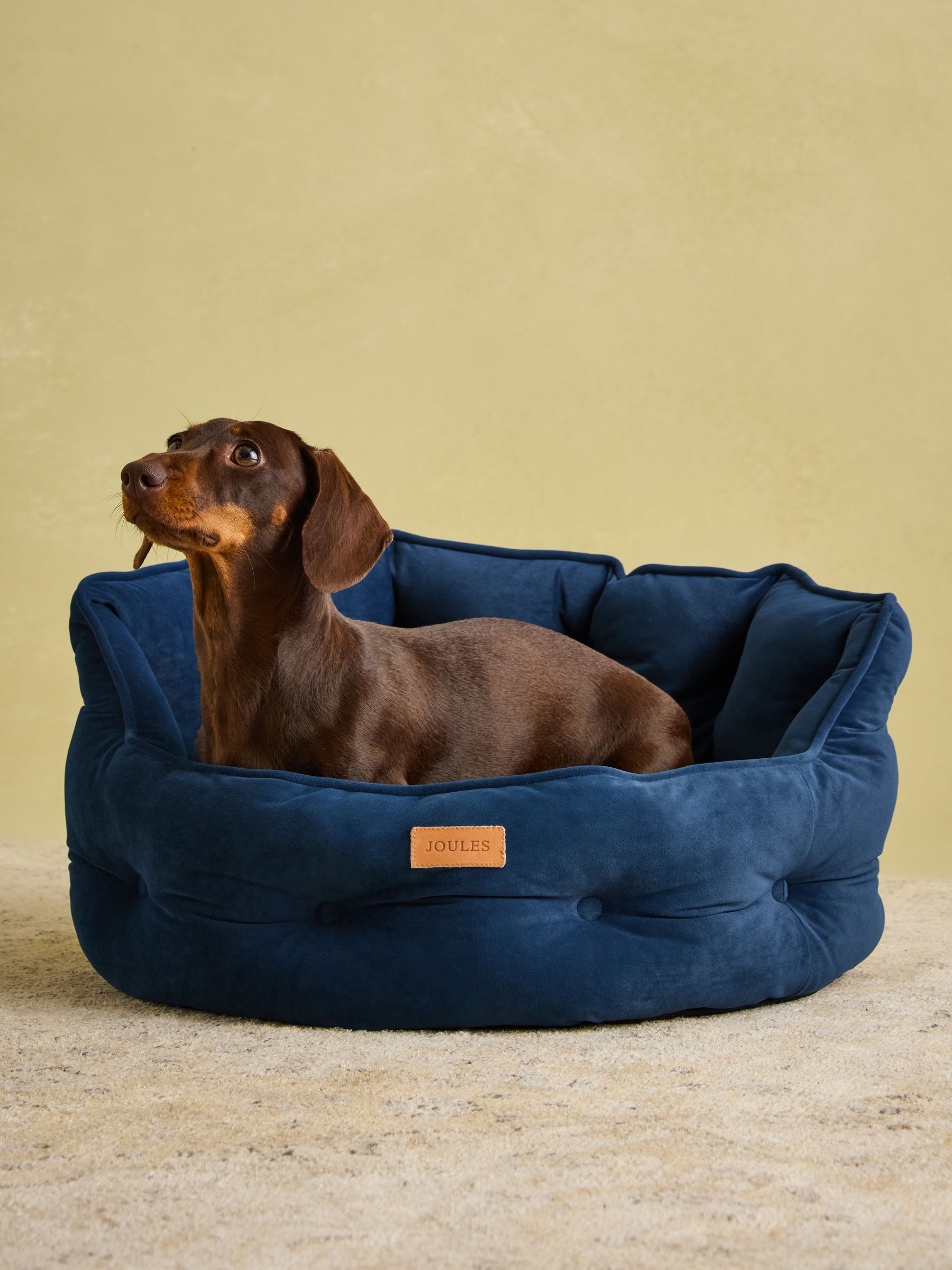 Chesterfield Navy Dog Bed - Image 5 of 11