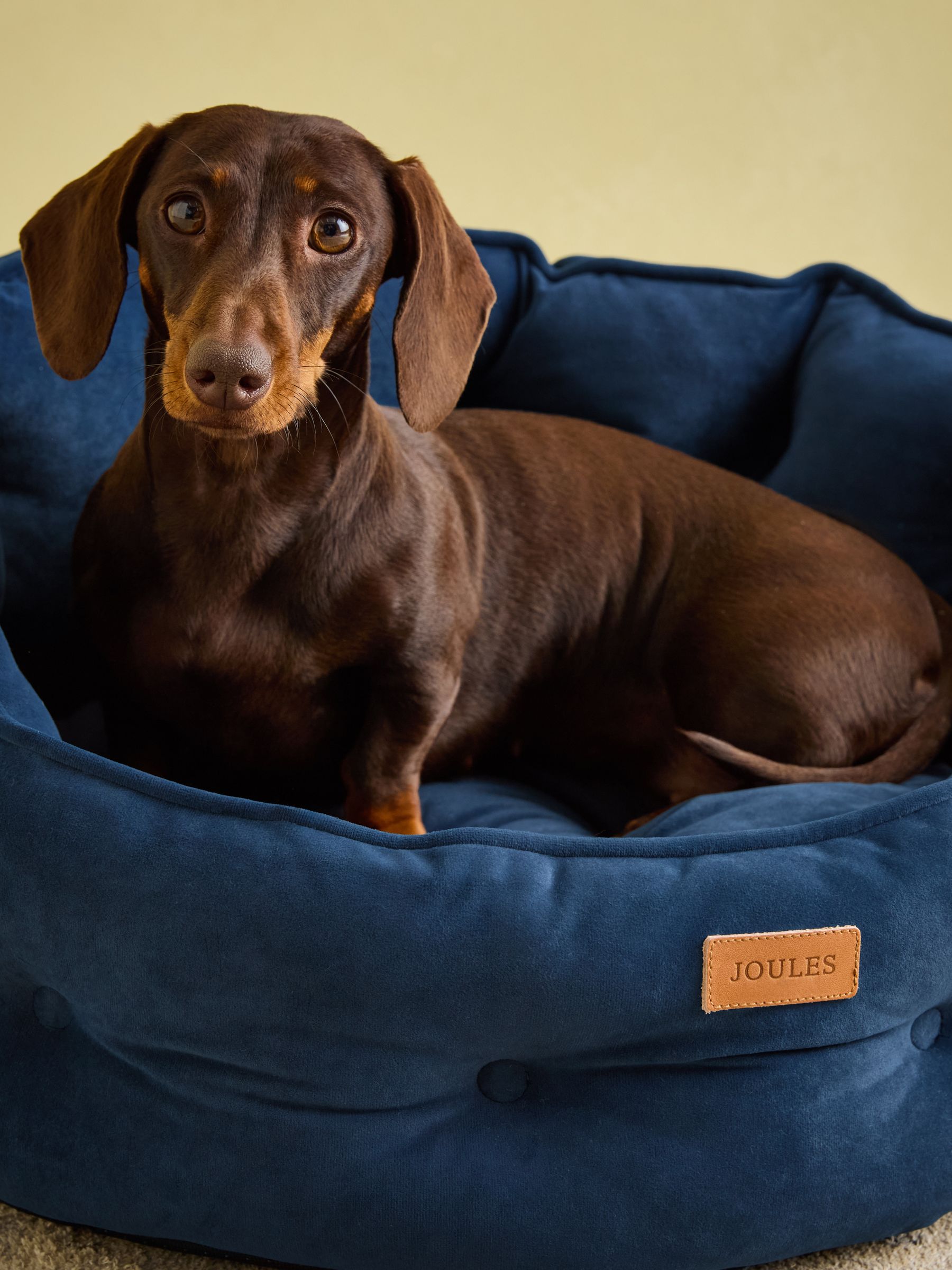Chesterfield Navy Dog Bed - Image 6 of 11