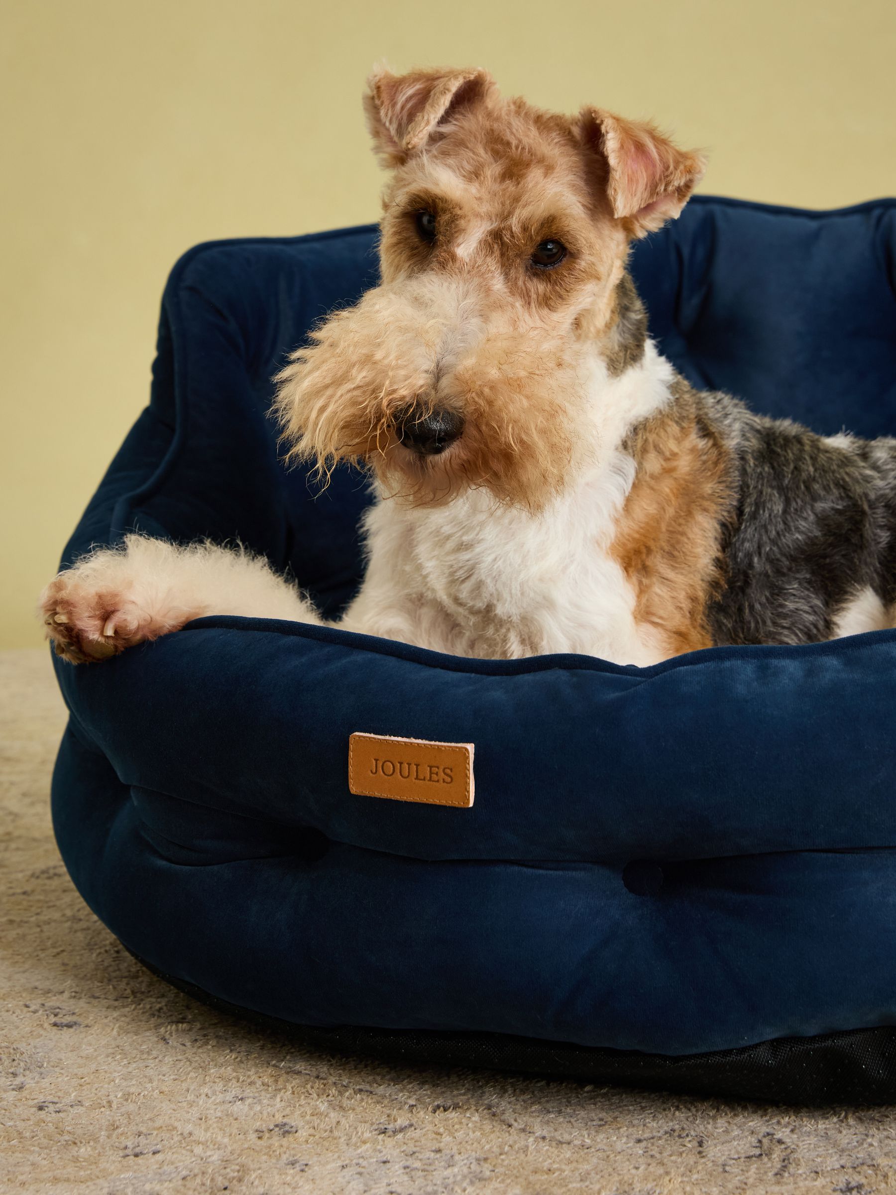 Chesterfield Navy Dog Bed - Image 7 of 11