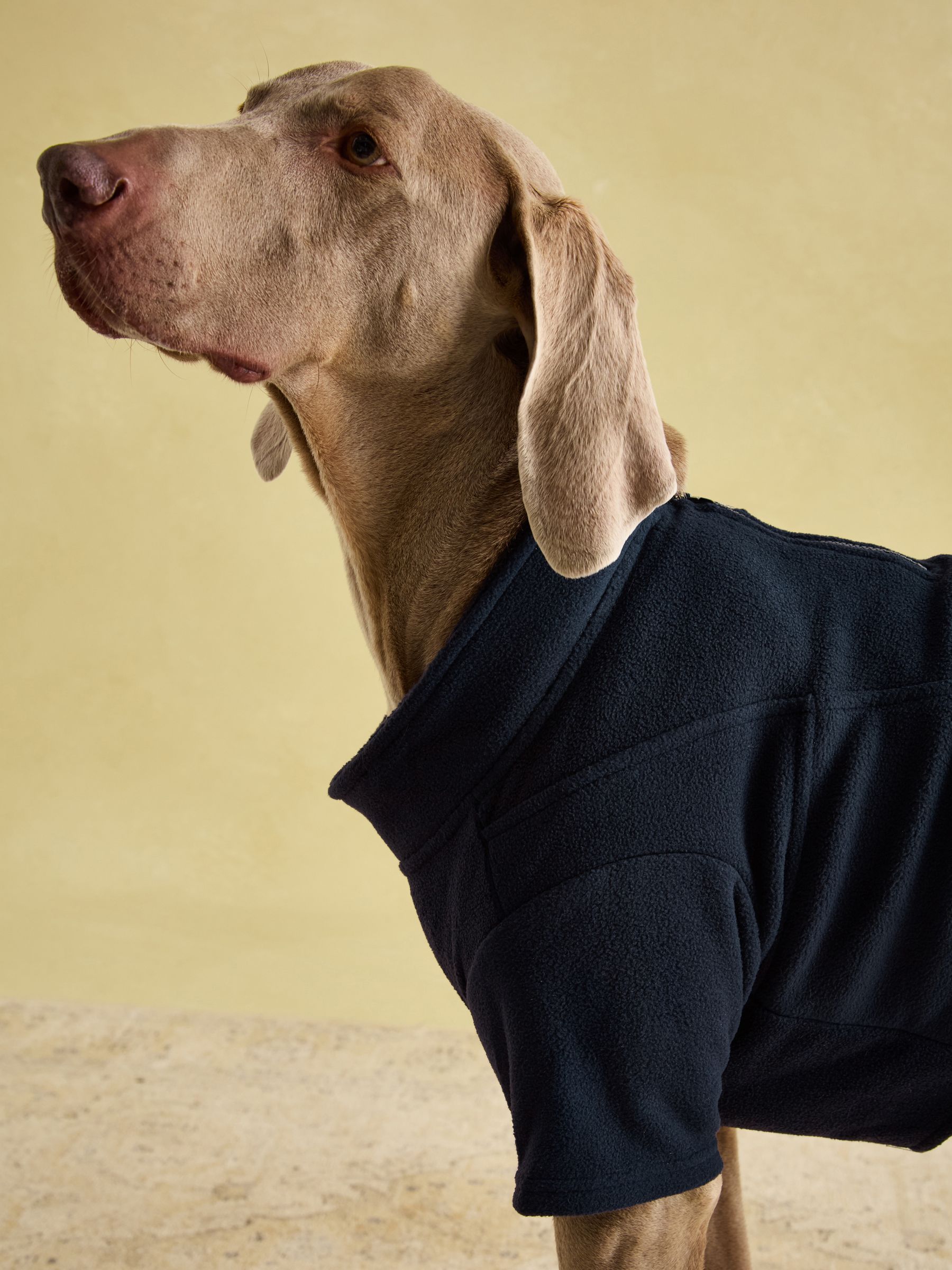 Joules Navy Blue Dog Fleece - Image 5 of 13