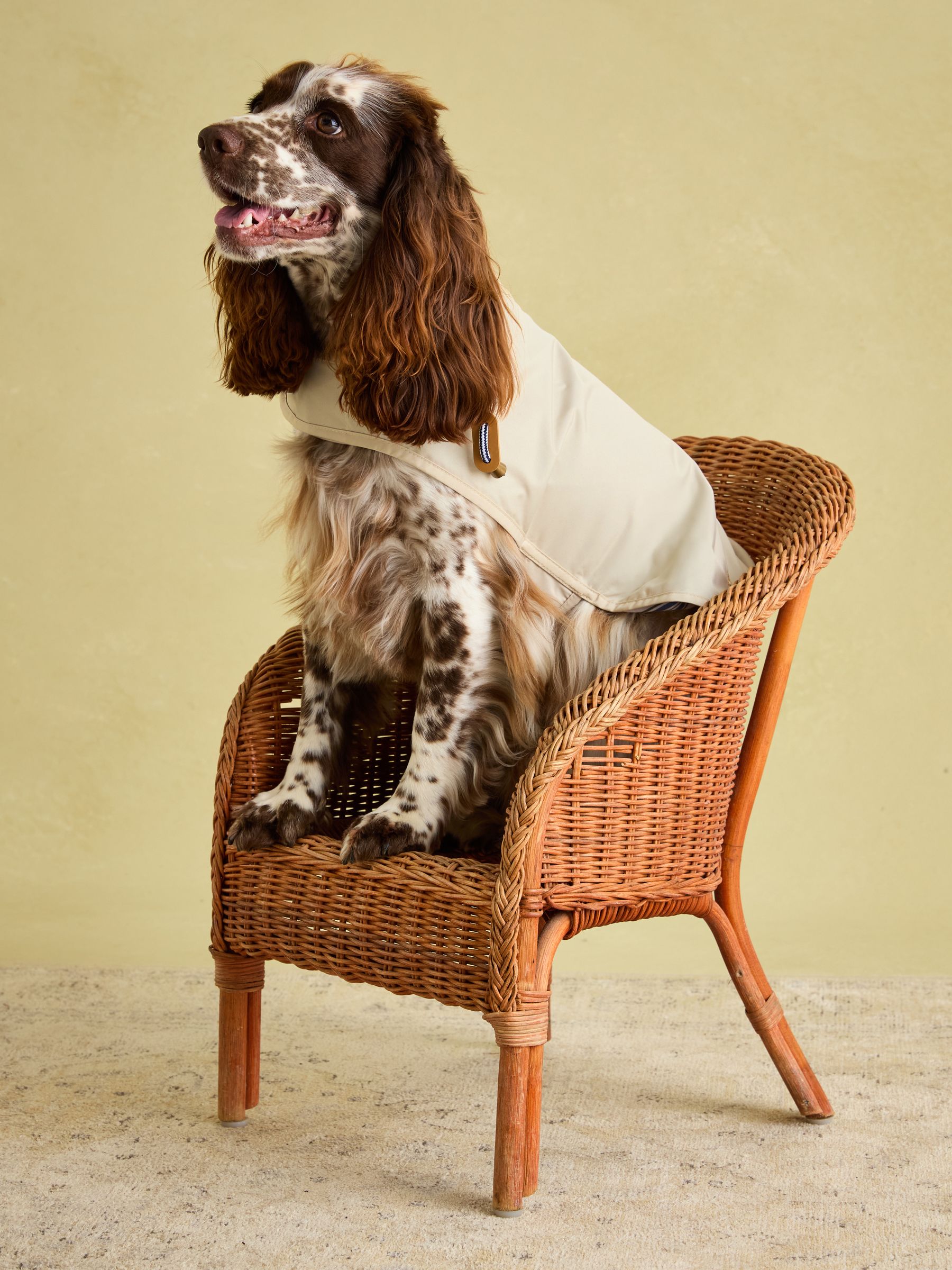 Beige Water-Resistant Dog Jacket - Image 2 of 15