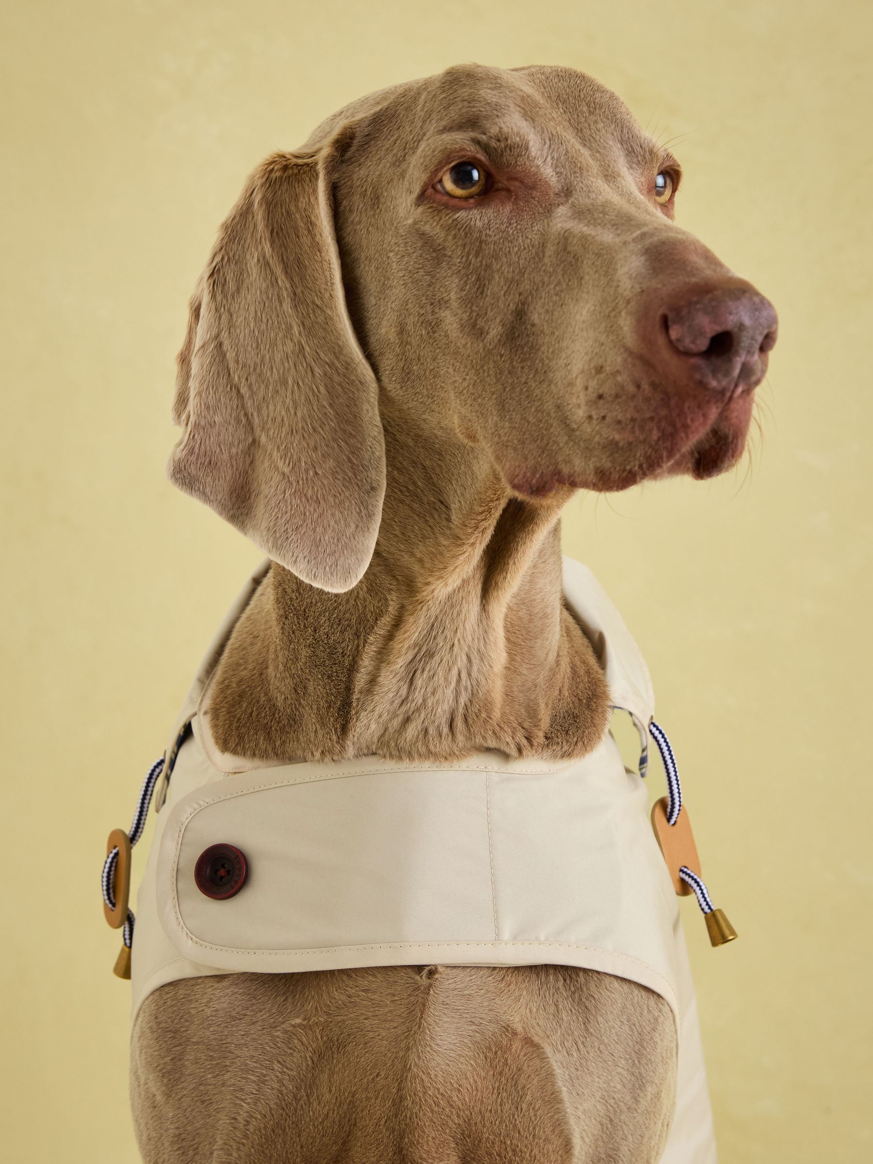 Beige Water-Resistant Dog Jacket - Image 3 of 15