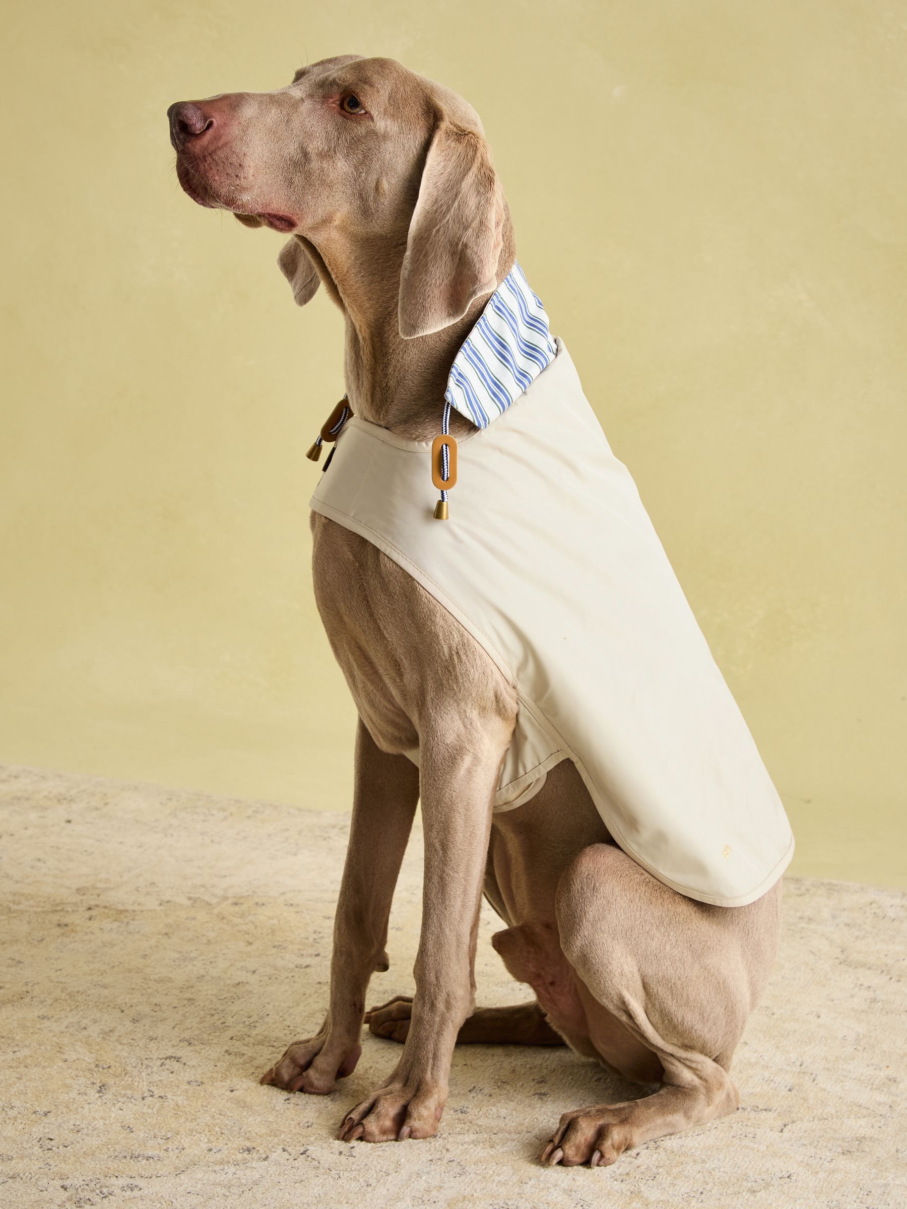 Beige Water-Resistant Dog Jacket - Image 6 of 15
