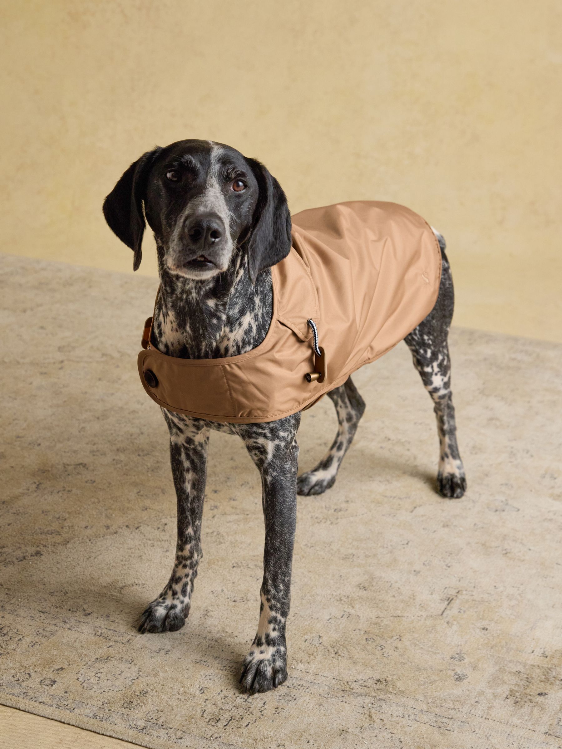 Rain Jacket Joules Waterproof Dog Coat Joules GoLightly Packaway
