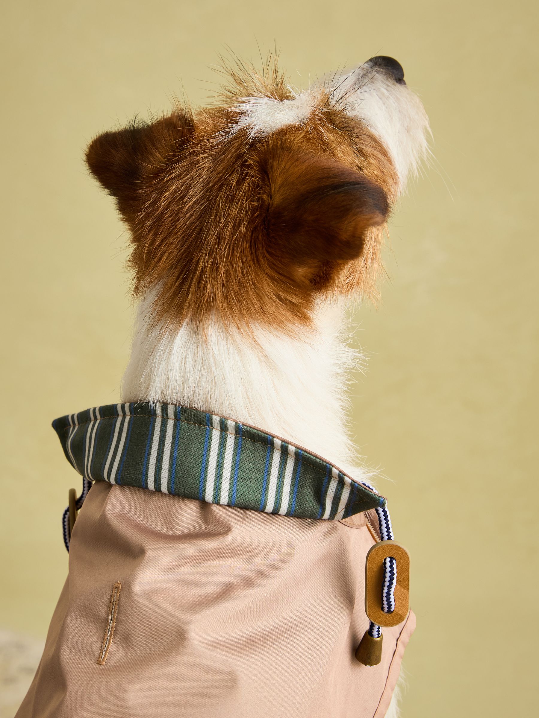 Burra Brown Water-Resistant Dog Jacket - Image 10 of 19