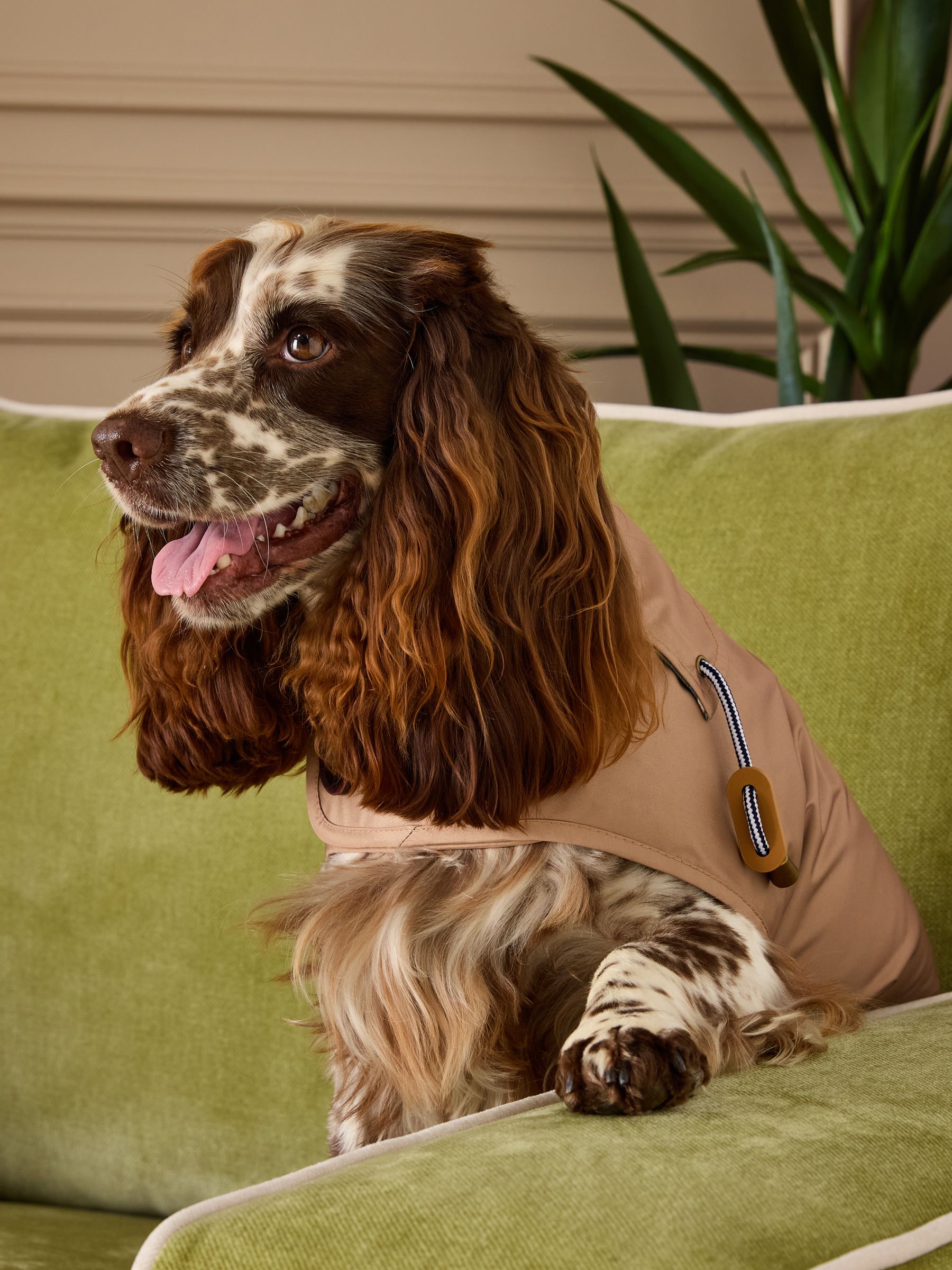 Burra Brown Water-Resistant Dog Jacket - Image 2 of 19
