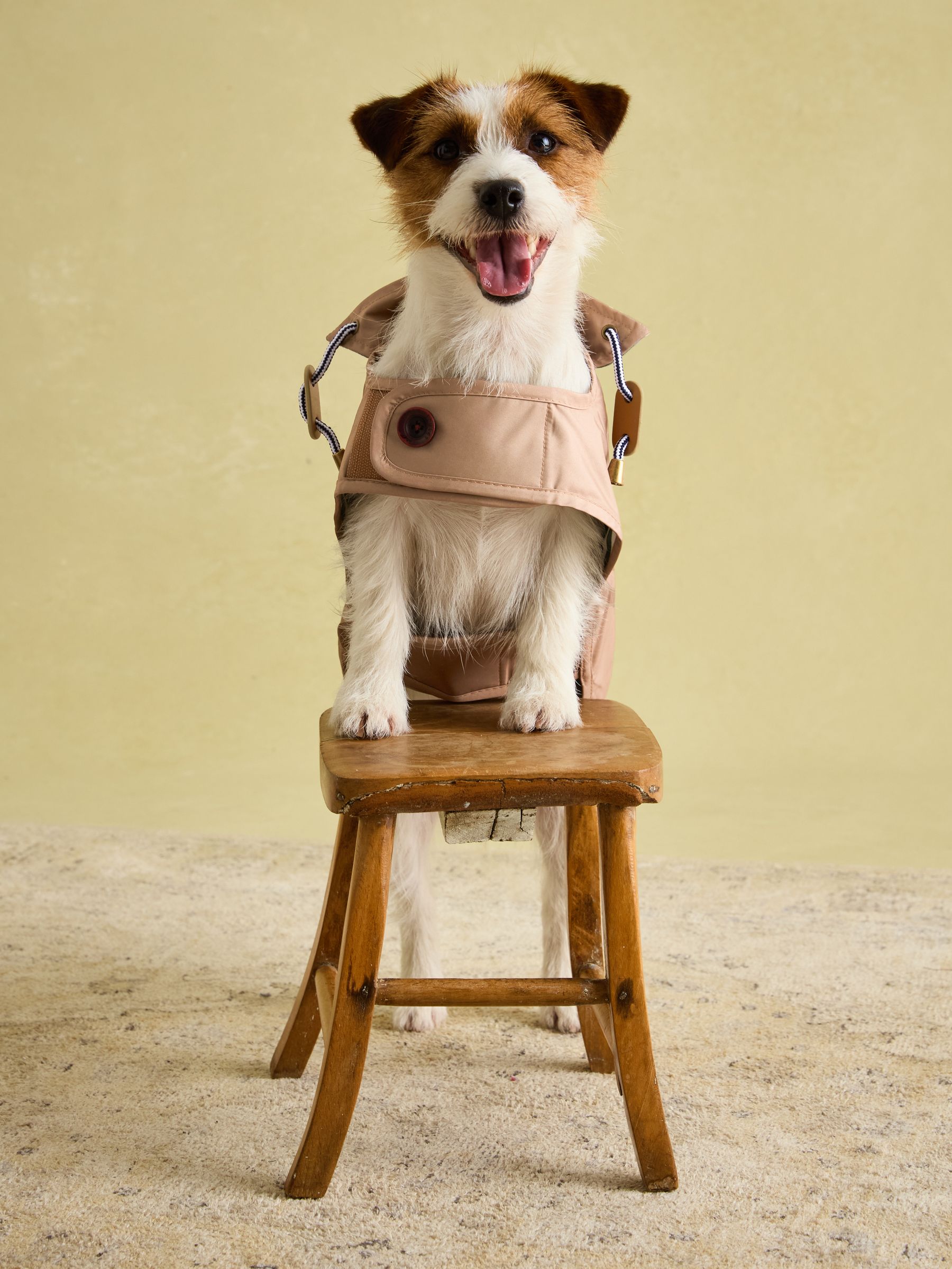 Burra Brown Water-Resistant Dog Jacket - Image 3 of 19
