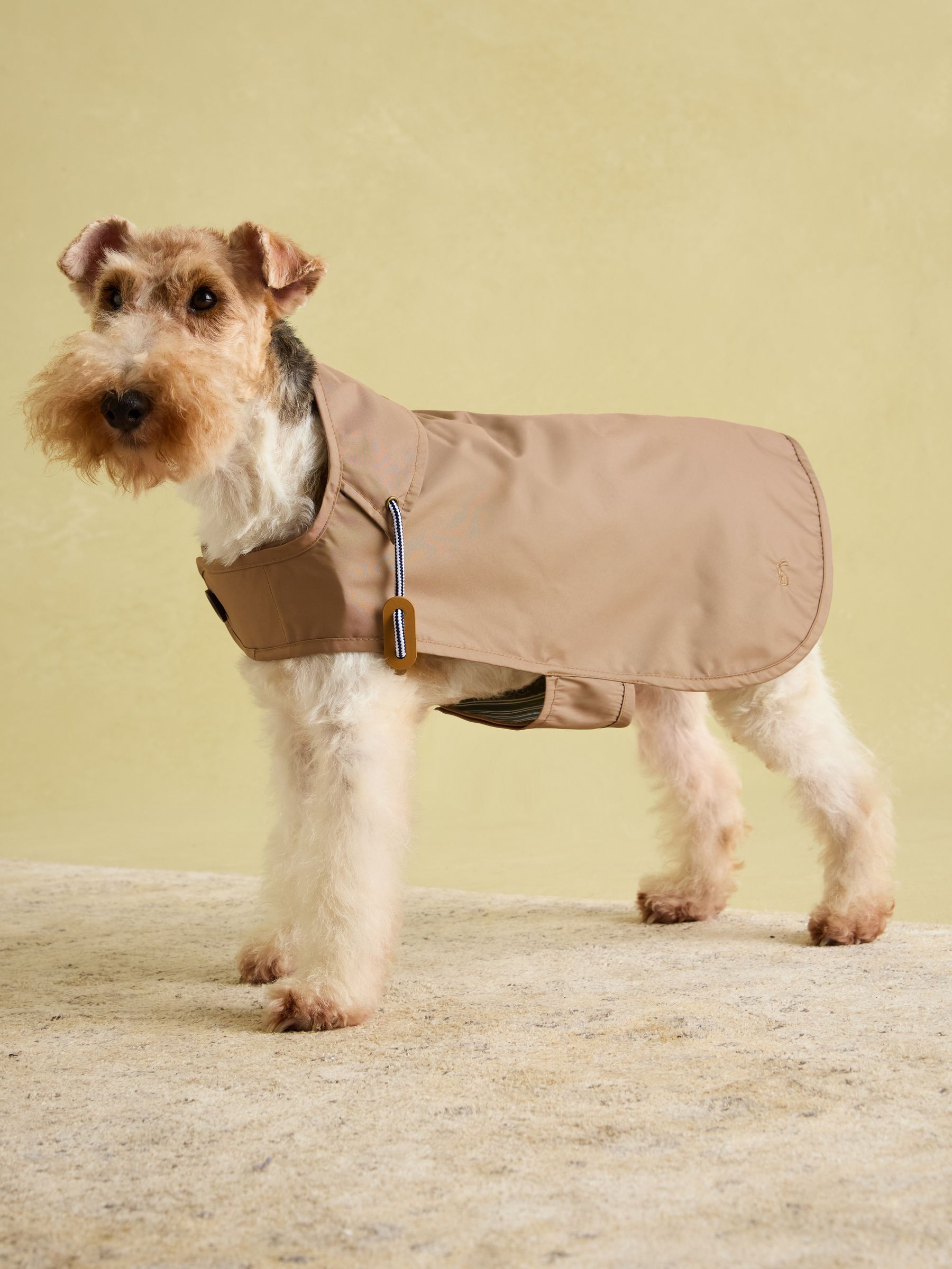 Burra Brown Water-Resistant Dog Jacket - Image 4 of 19