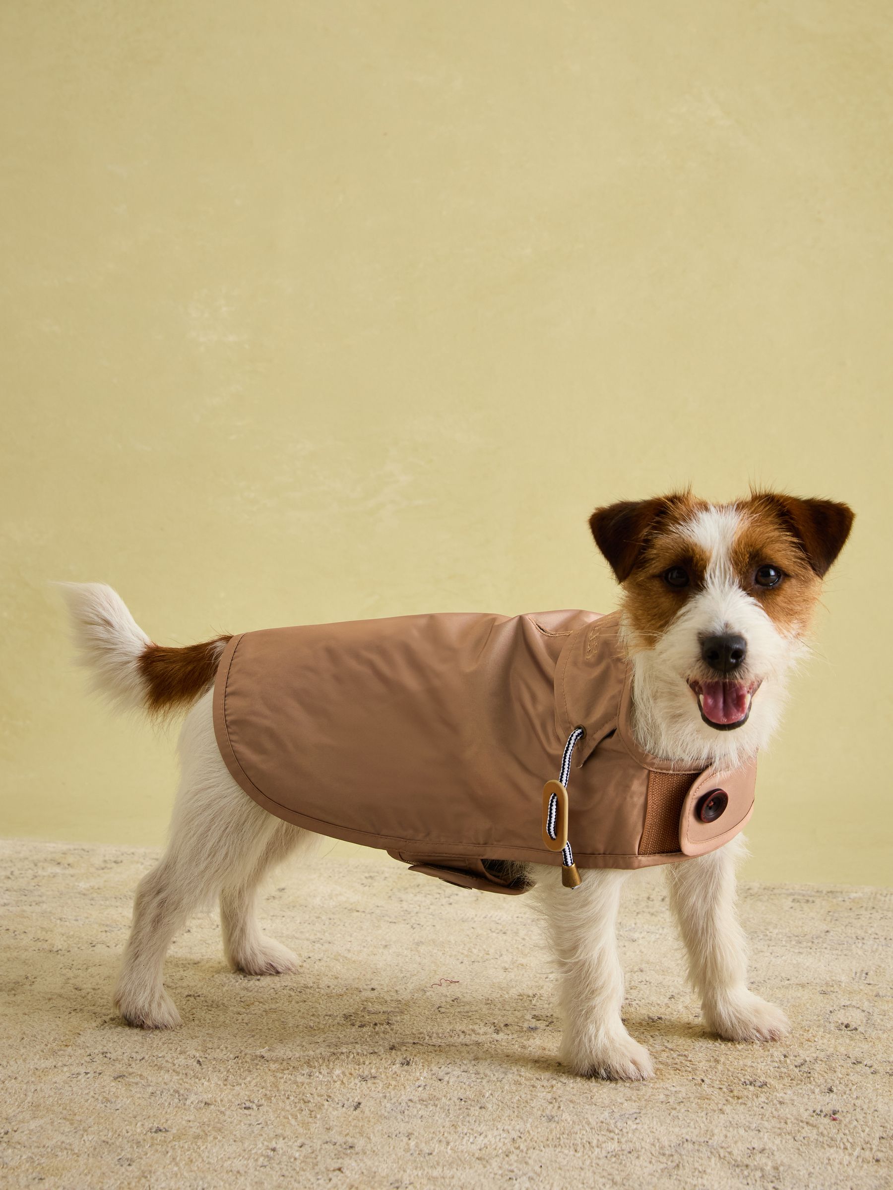 Burra Brown Water-Resistant Dog Jacket - Image 6 of 19