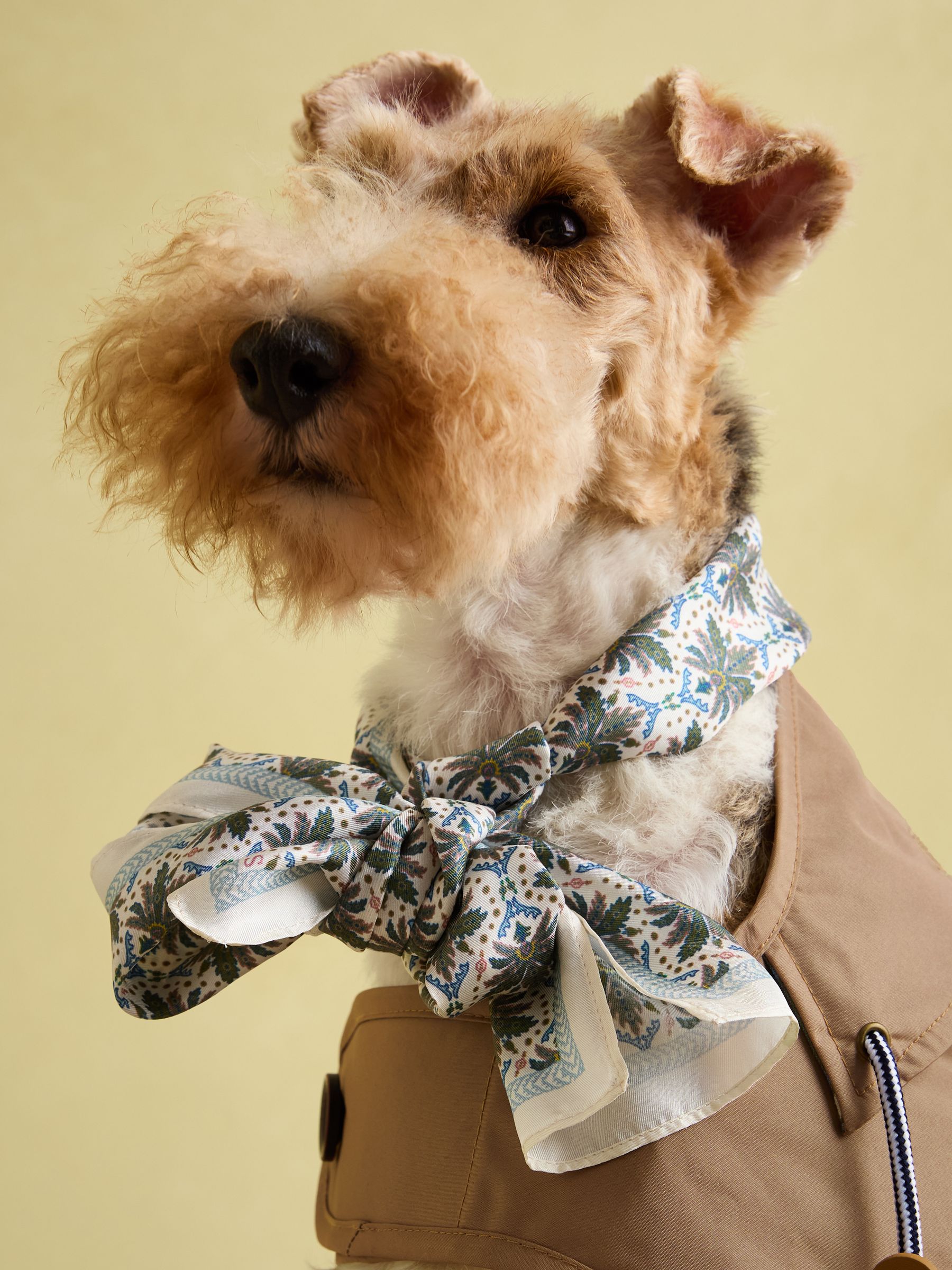 Burra Brown Water-Resistant Dog Jacket - Image 7 of 19