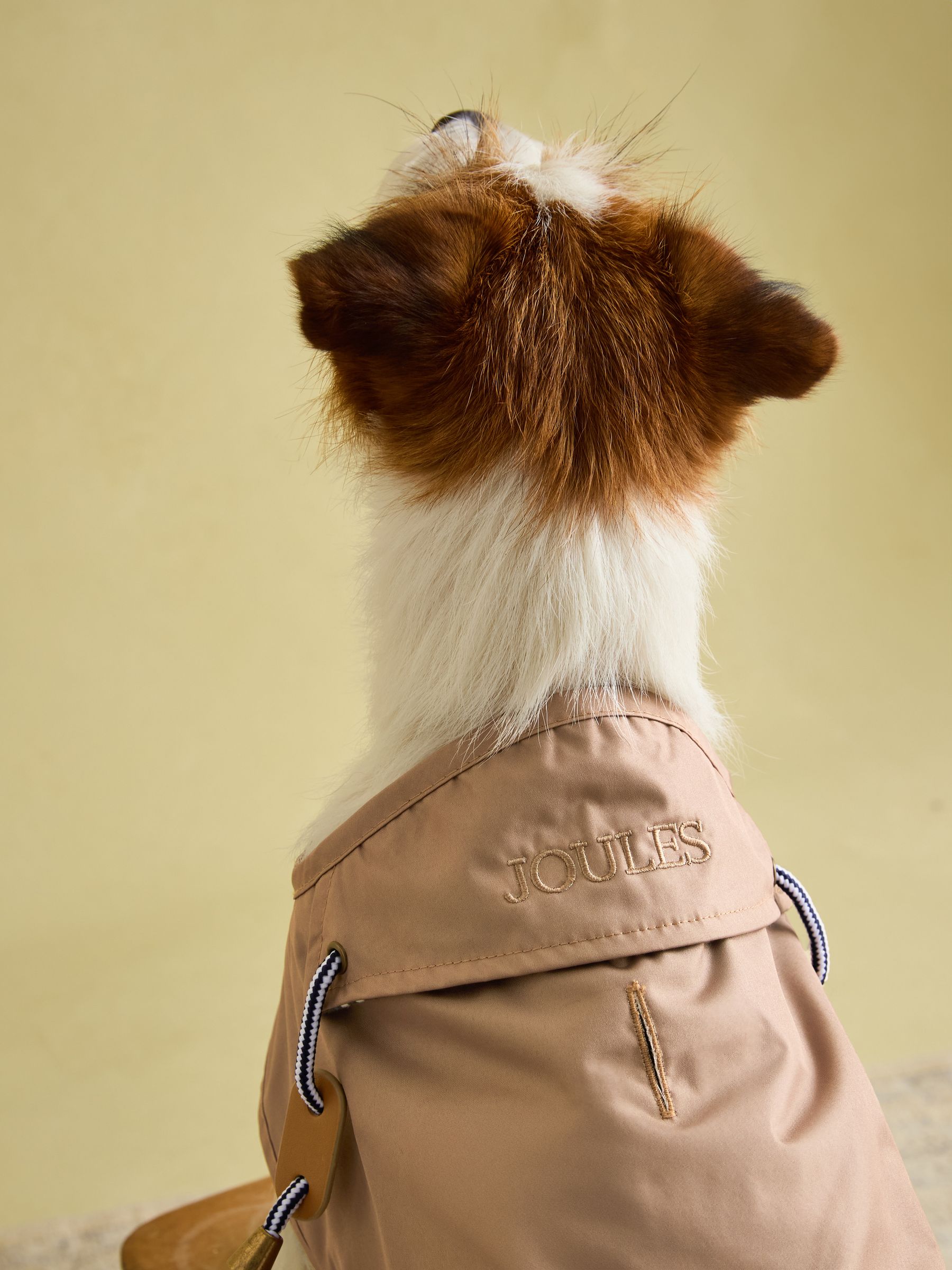 Burra Brown Water-Resistant Dog Jacket - Image 9 of 19