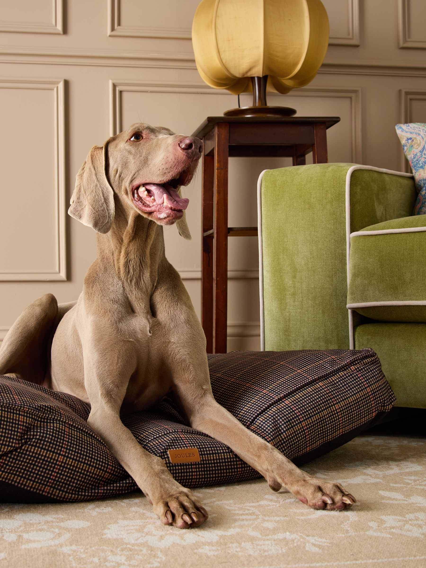 Henson Check Brown Pet Matress Bed - Image 1 of 13