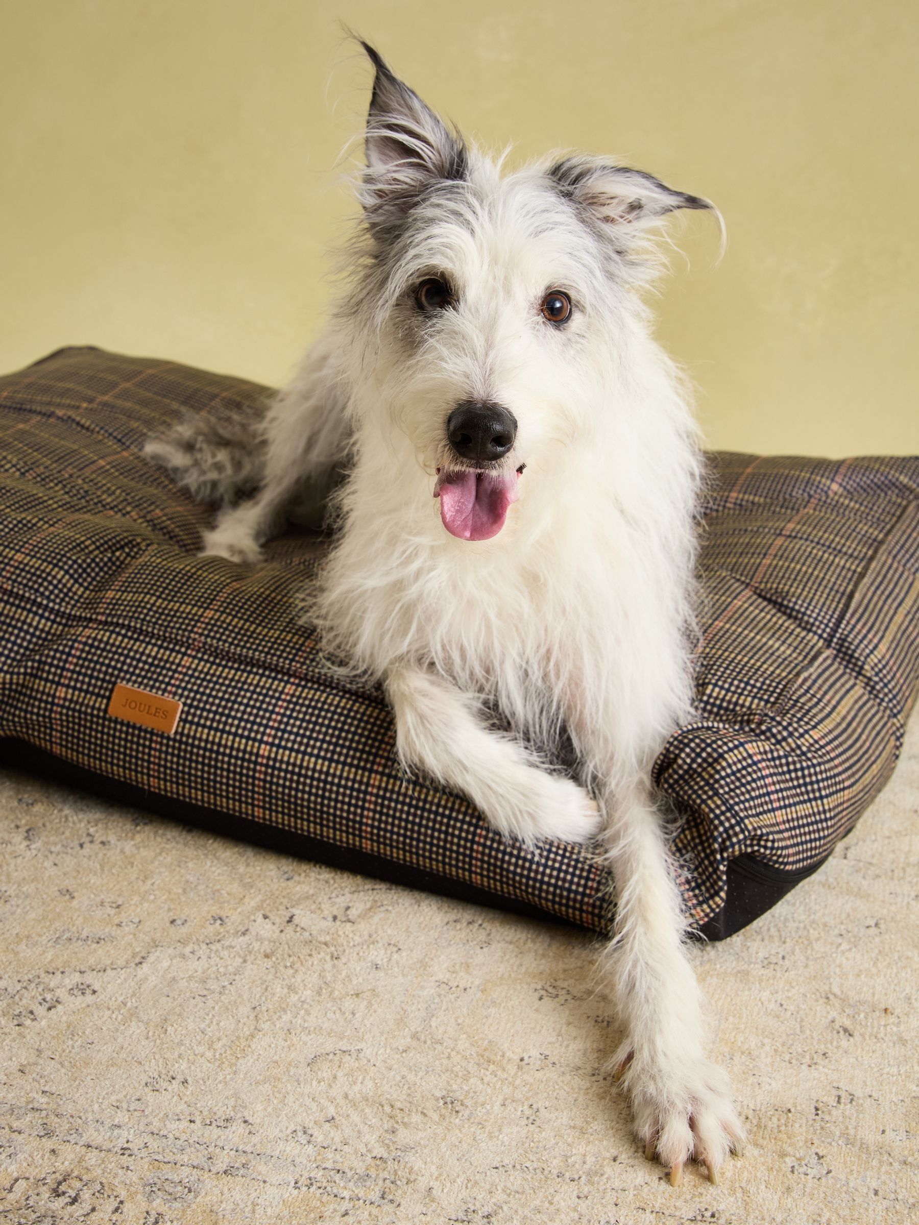 Henson Check Brown Pet Matress Bed - Image 4 of 13