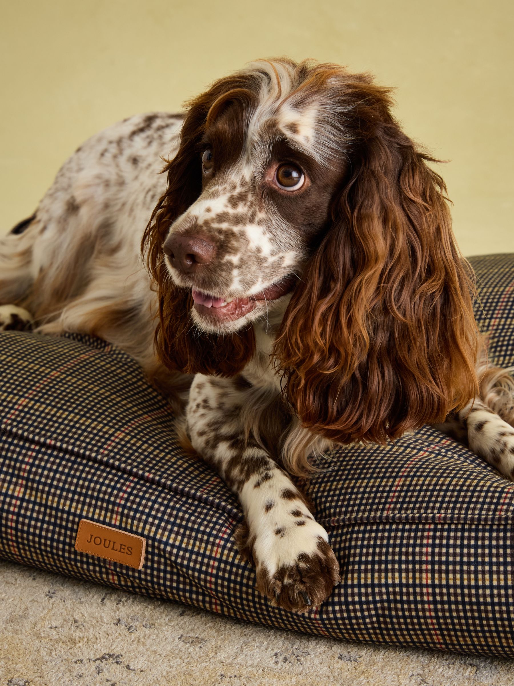 Henson Check Brown Pet Matress Bed - Image 7 of 13