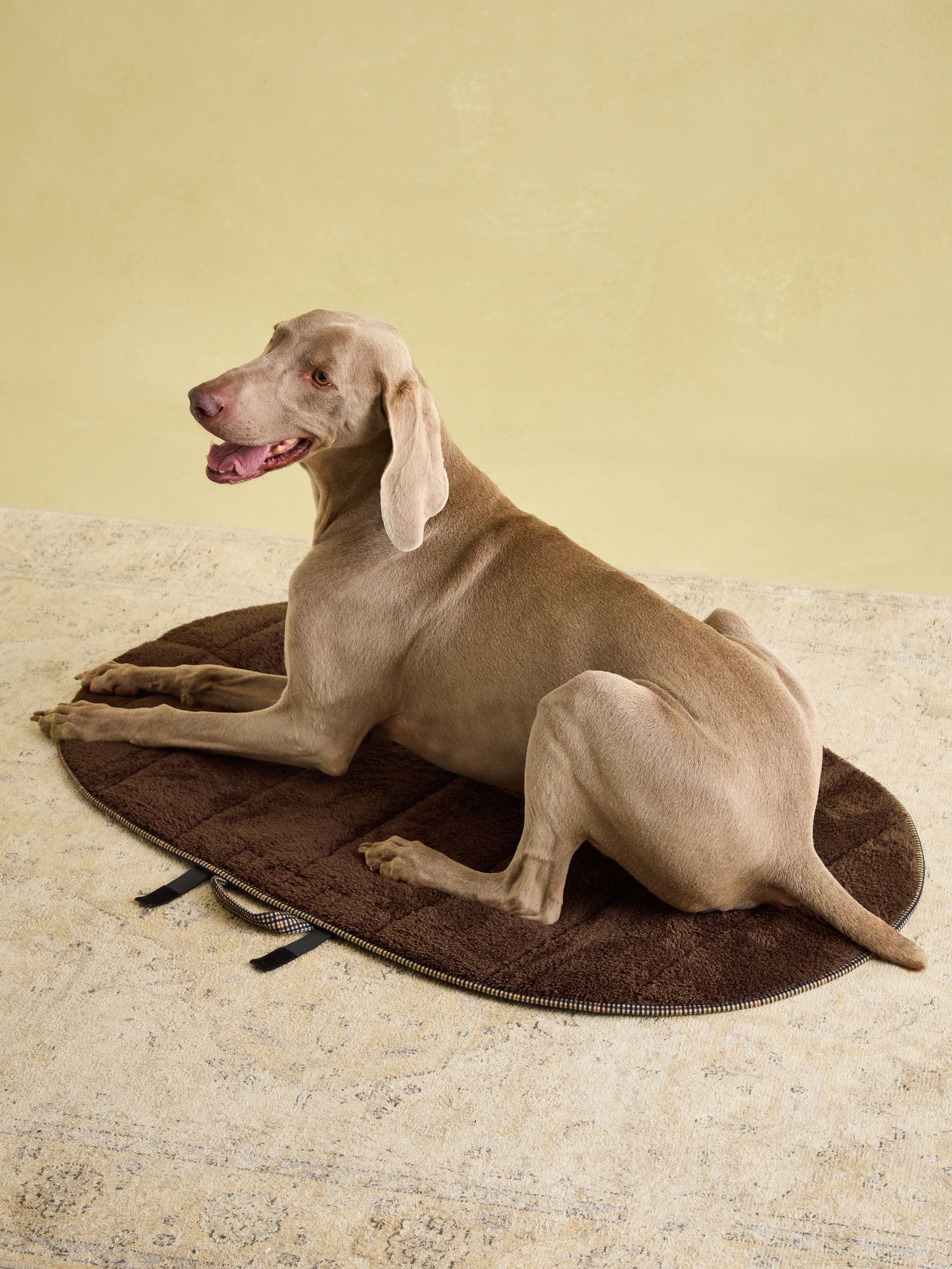 Henson Check Brown Pet Travel Mat - Image 3 of 6